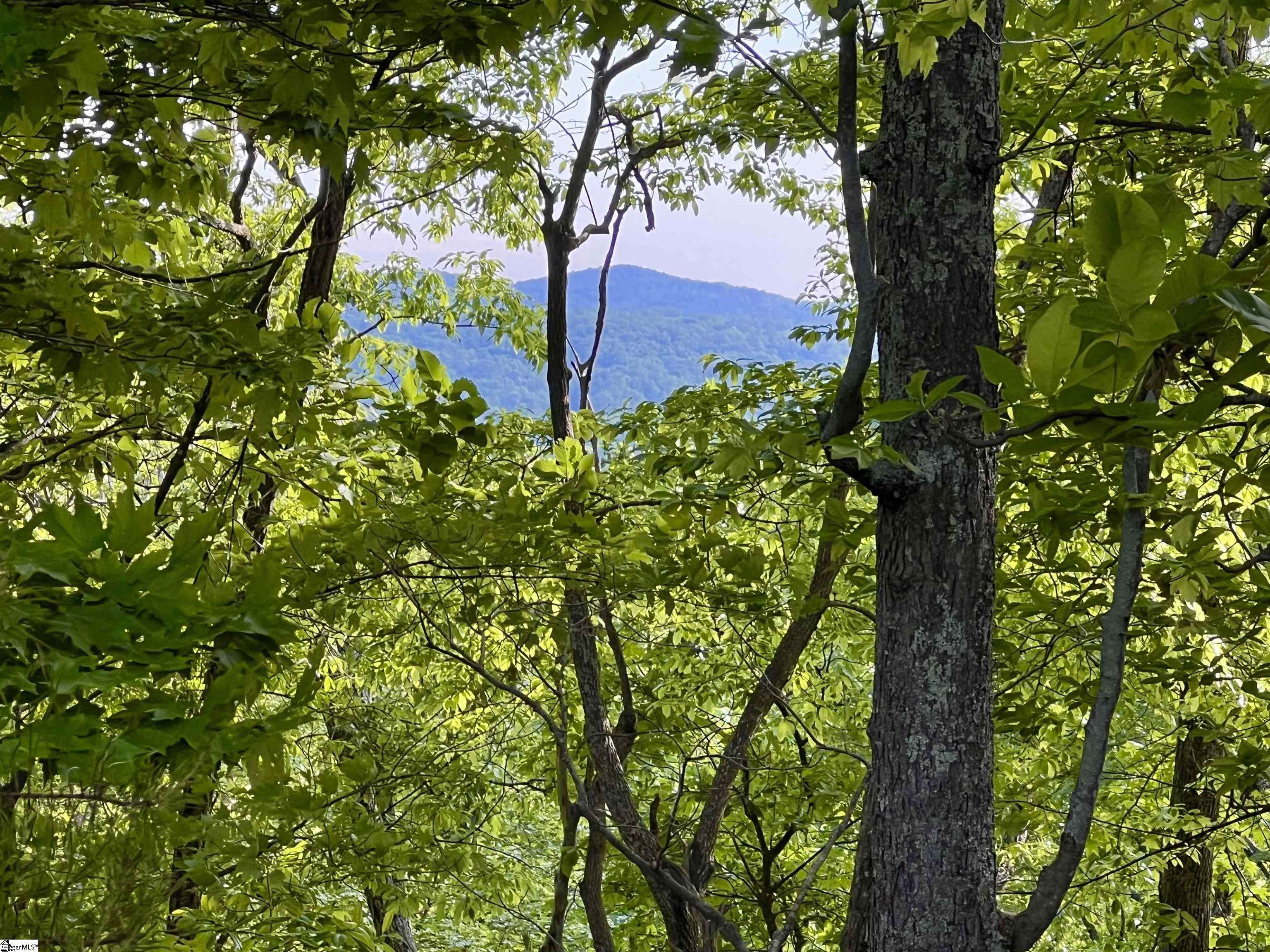 Travelers Rest, SC 29690,720 Callahan Mountain Road