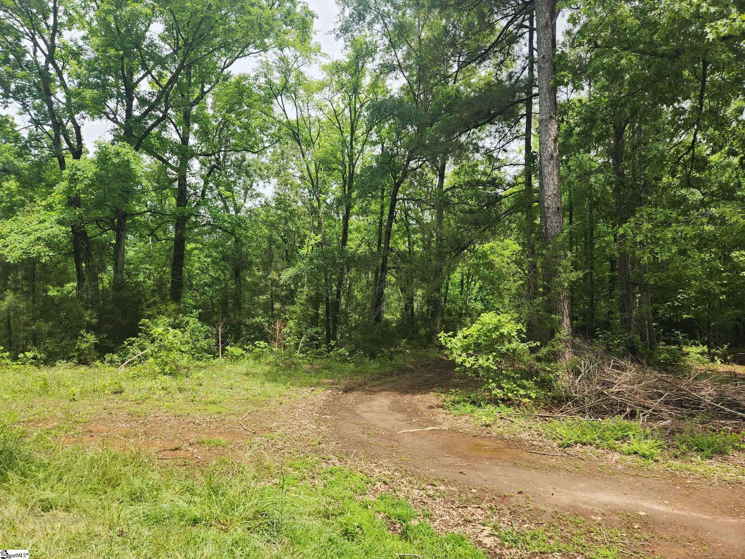 Waterloo, SC 29384,00 Tibbitts Lane