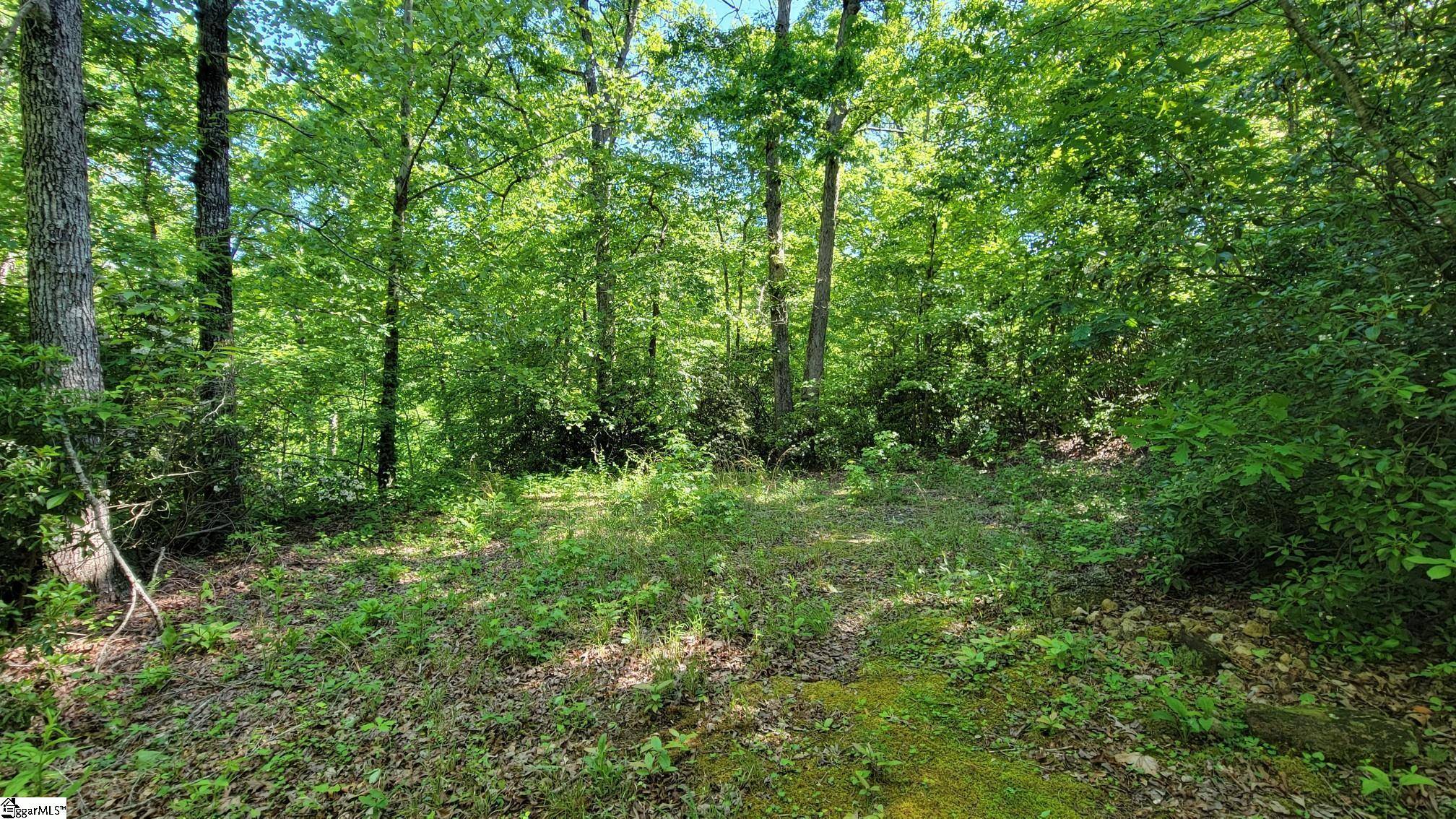 Travelers Rest, SC 29690,11 Terra Trace Way
