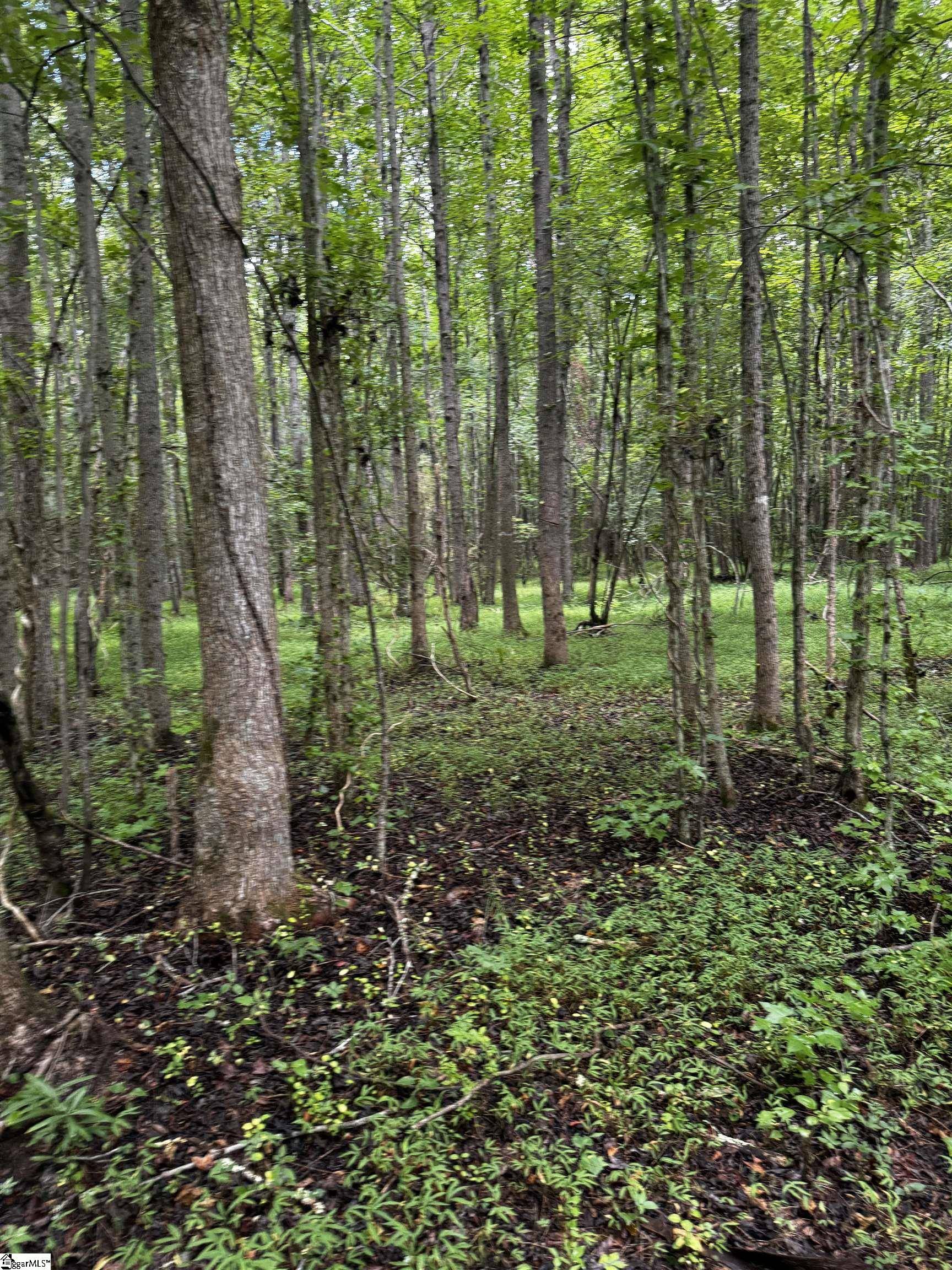 Union, SC 29379,1560 Meansville Road