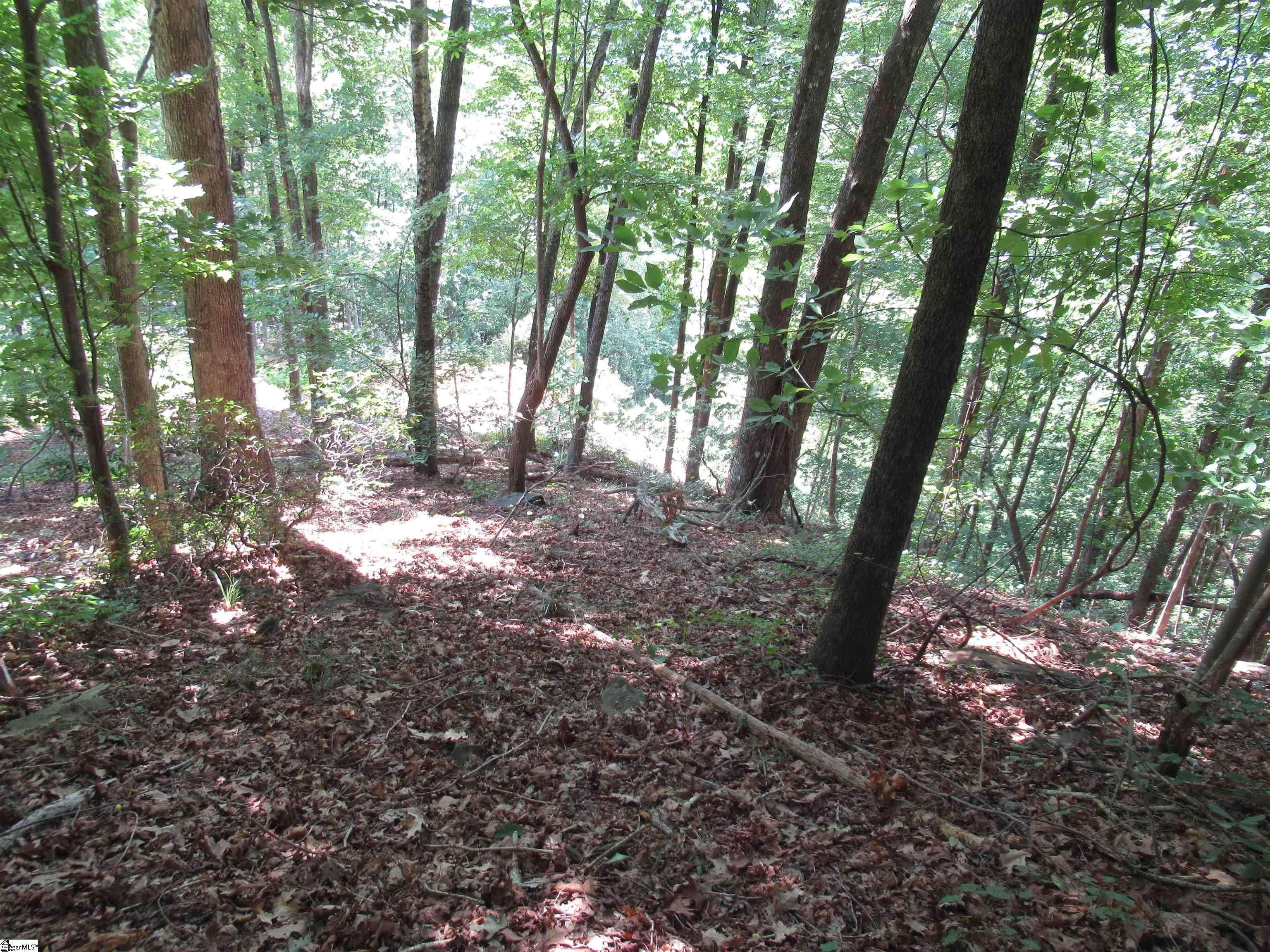 Pickens, SC 29671,808 Whispering Falls Drive
