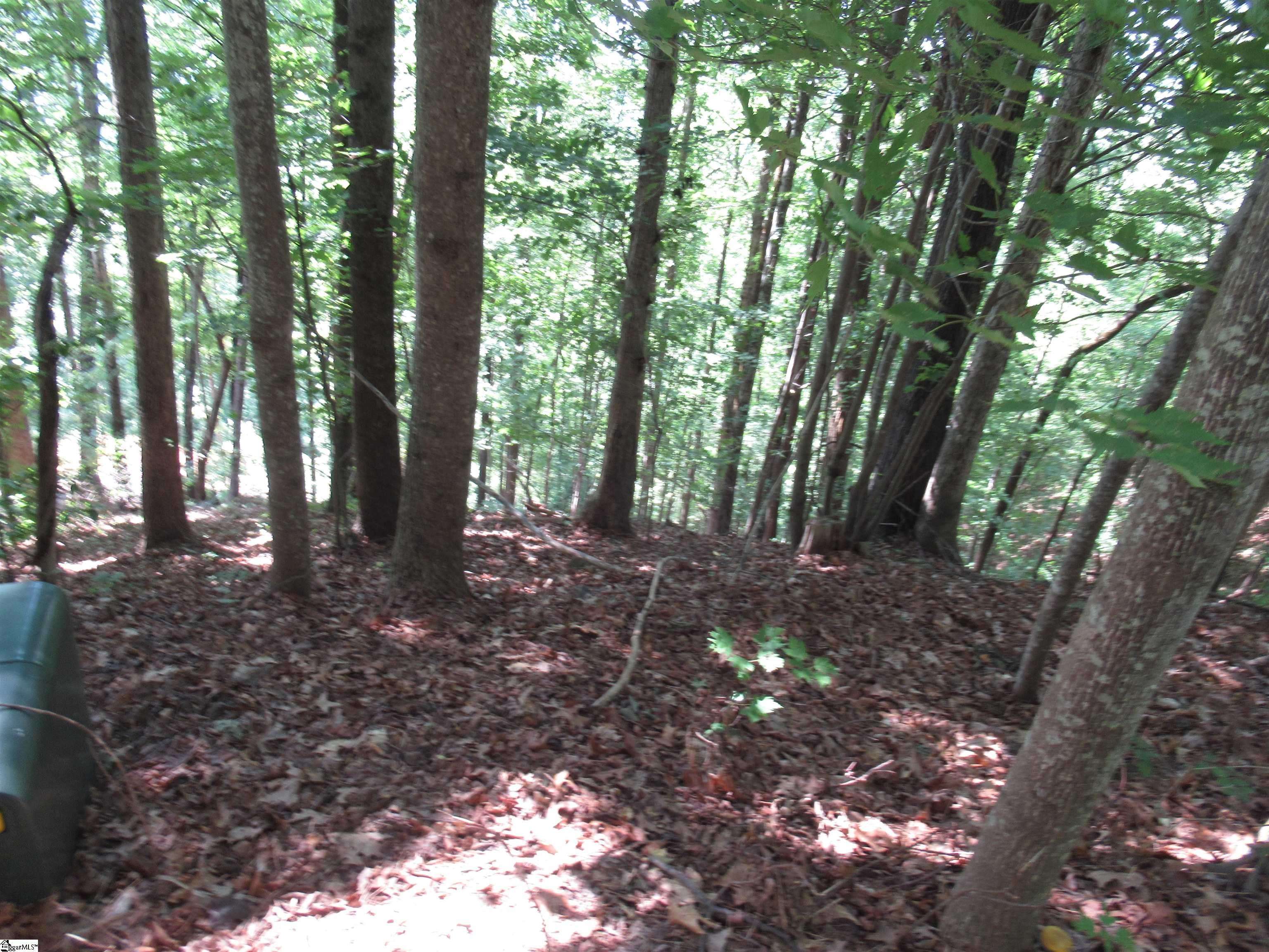 Pickens, SC 29671,808 Whispering Falls Drive