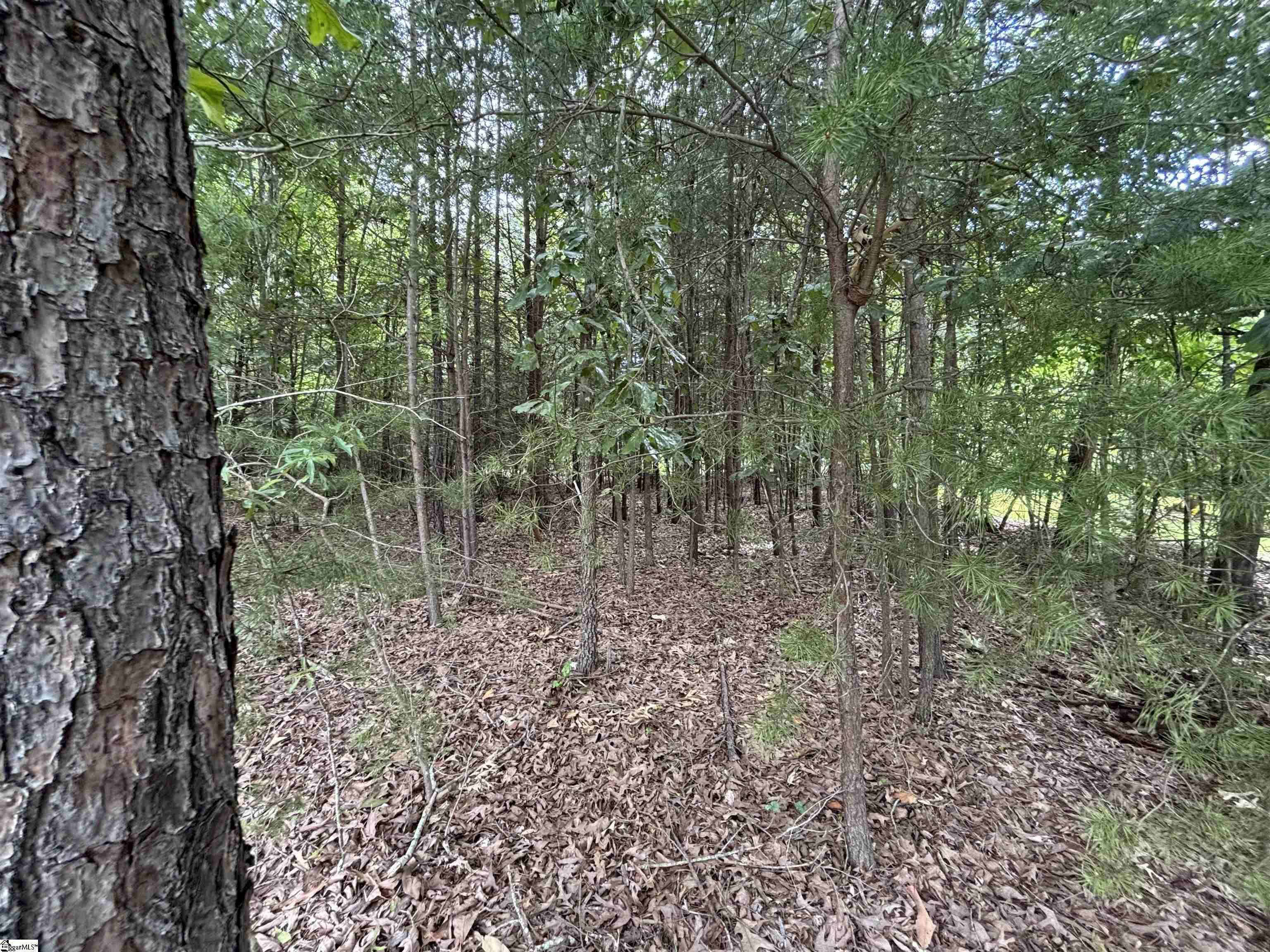 Westminster, SC 29693,813 Chickasaw Point