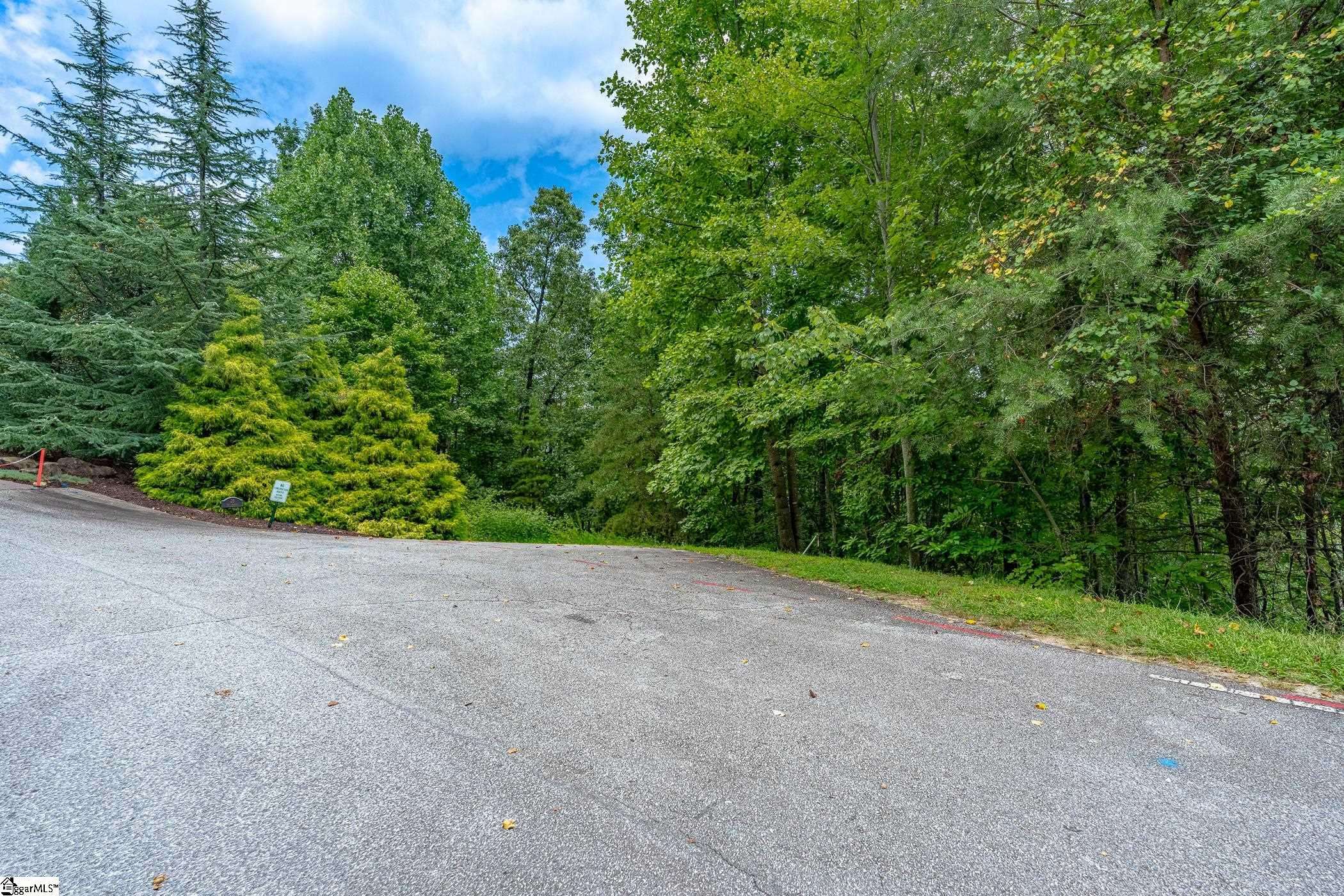 Marietta, SC 29661,26 Crescent Pinyon Way