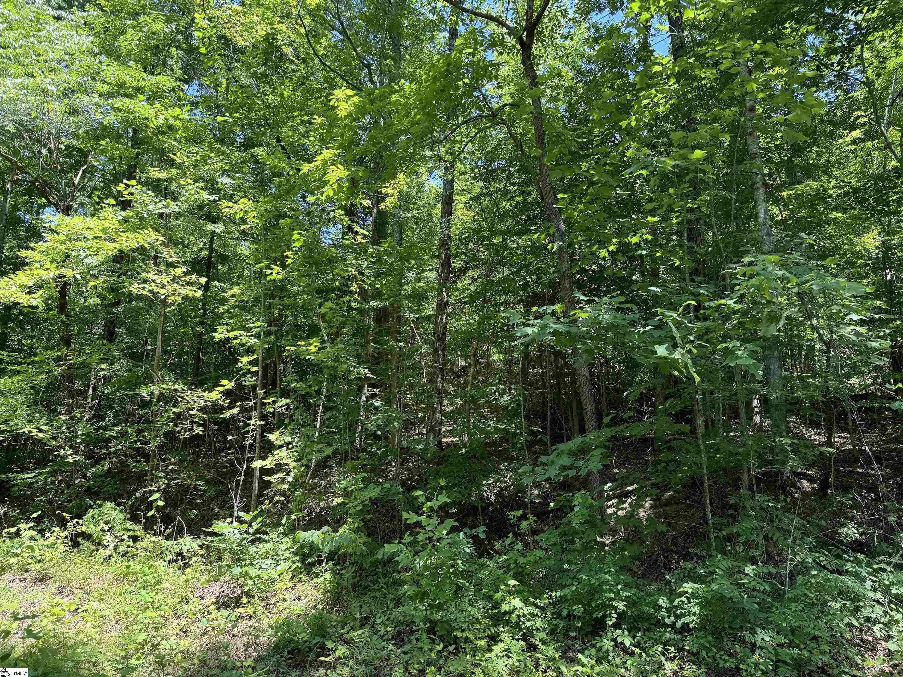 Landrum, SC 29356,00 Glendlyon Drive