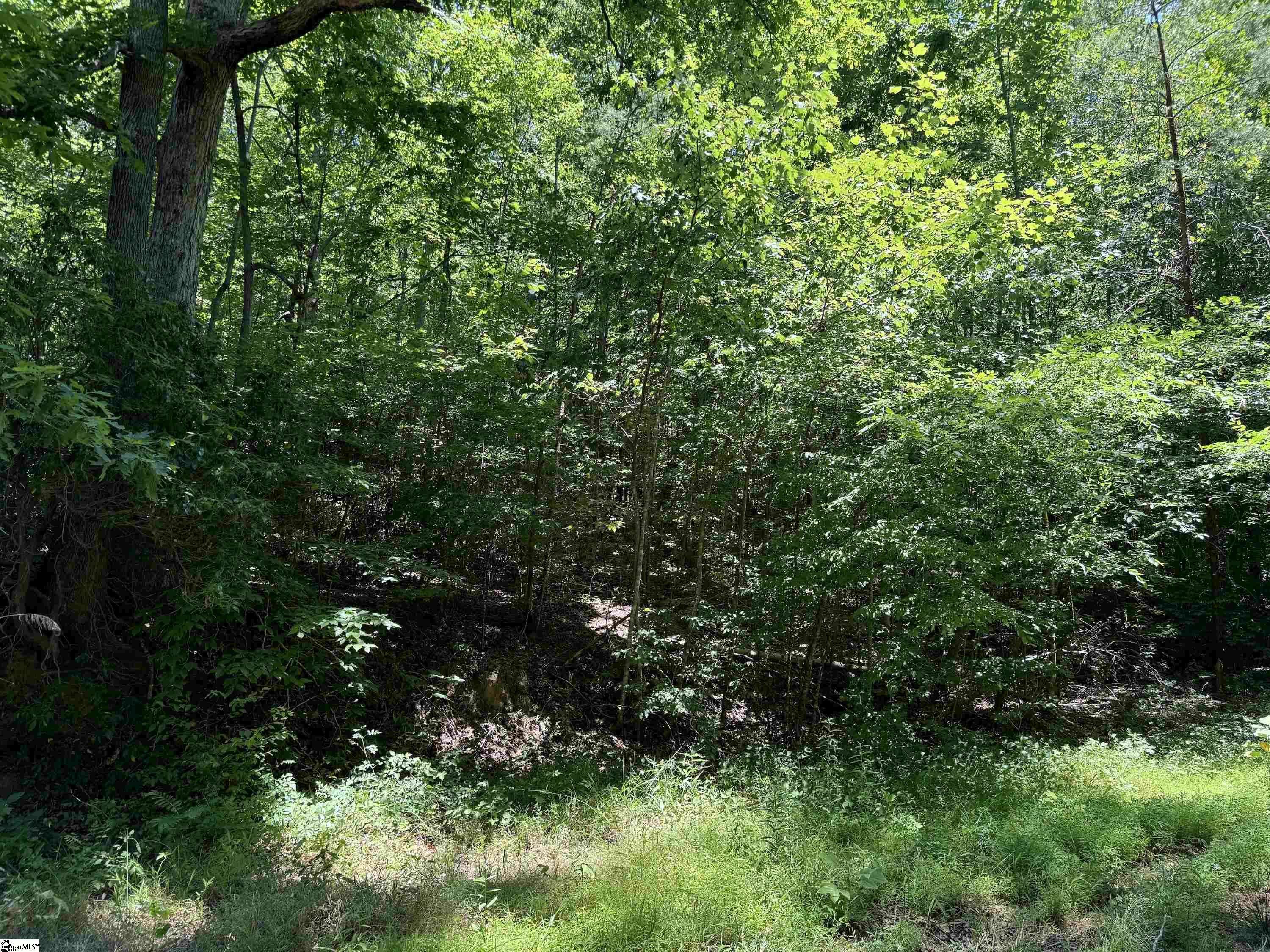 Landrum, SC 29356,00 Glendlyon Drive