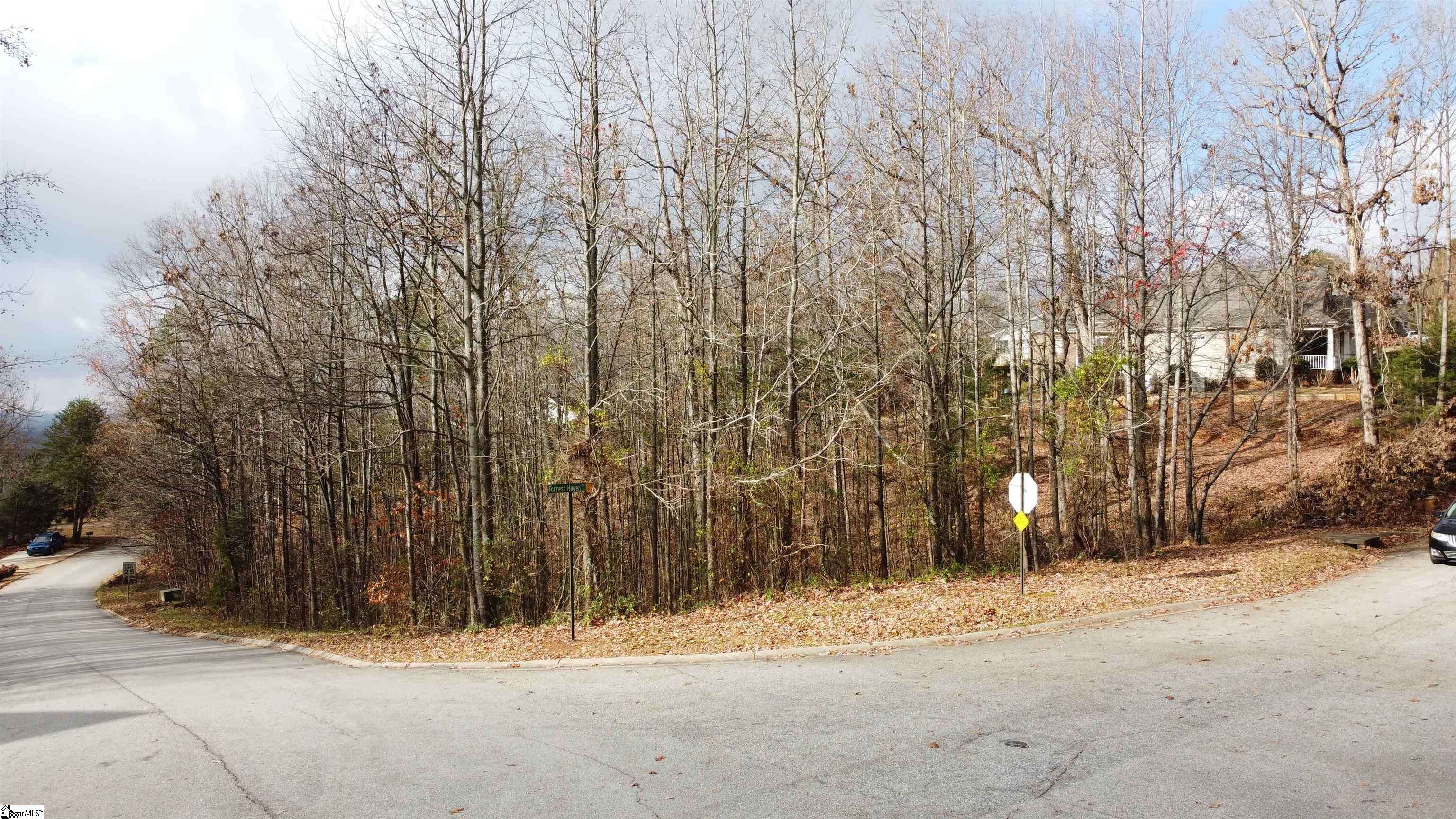 Greenville, SC 29609,0 Club View Drive