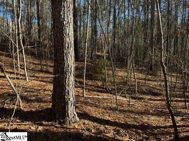 Salem, SC 29676,Mountain Mint Way