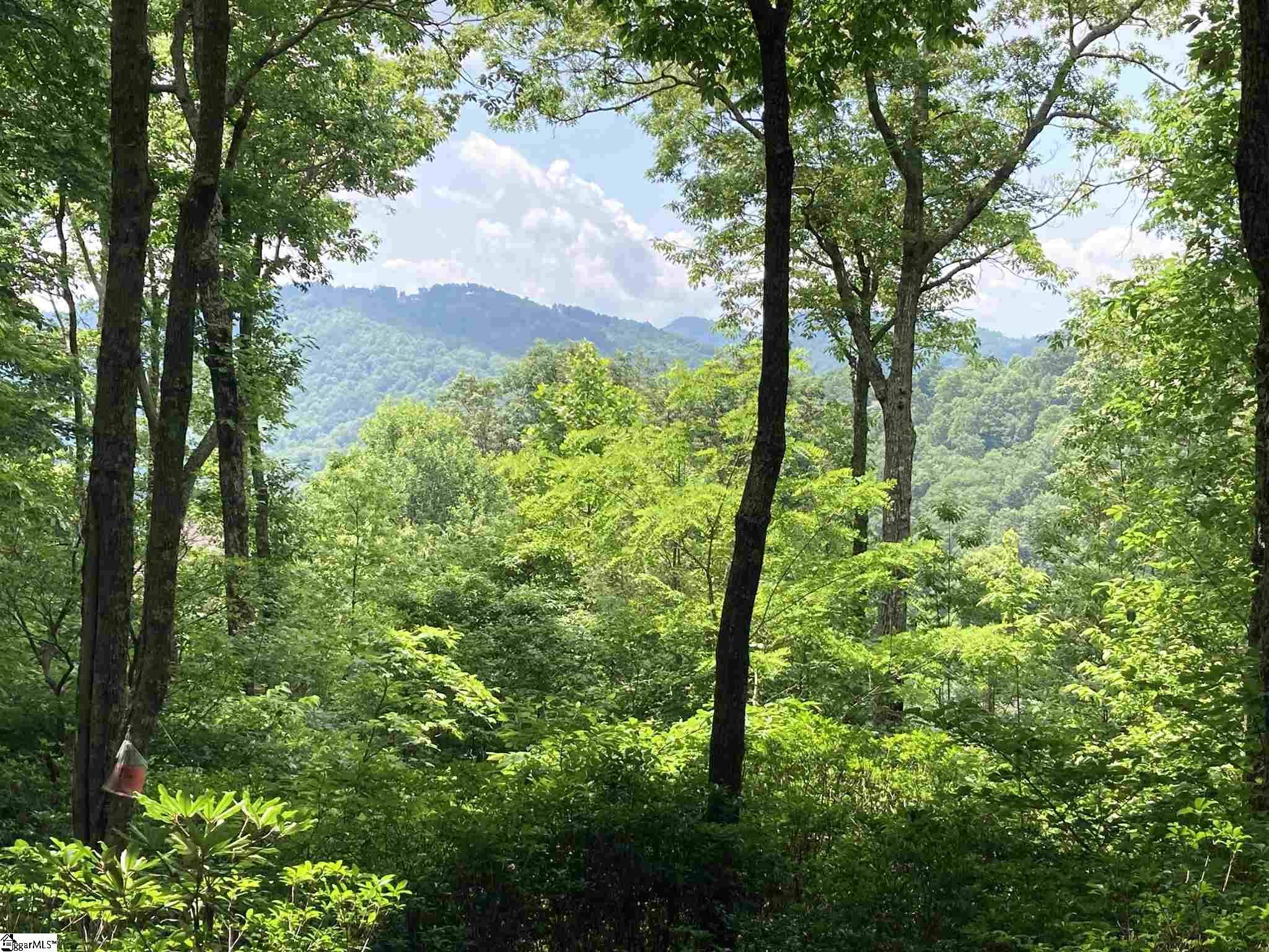 Travelers Rest, SC 29690,21 High Vista Way