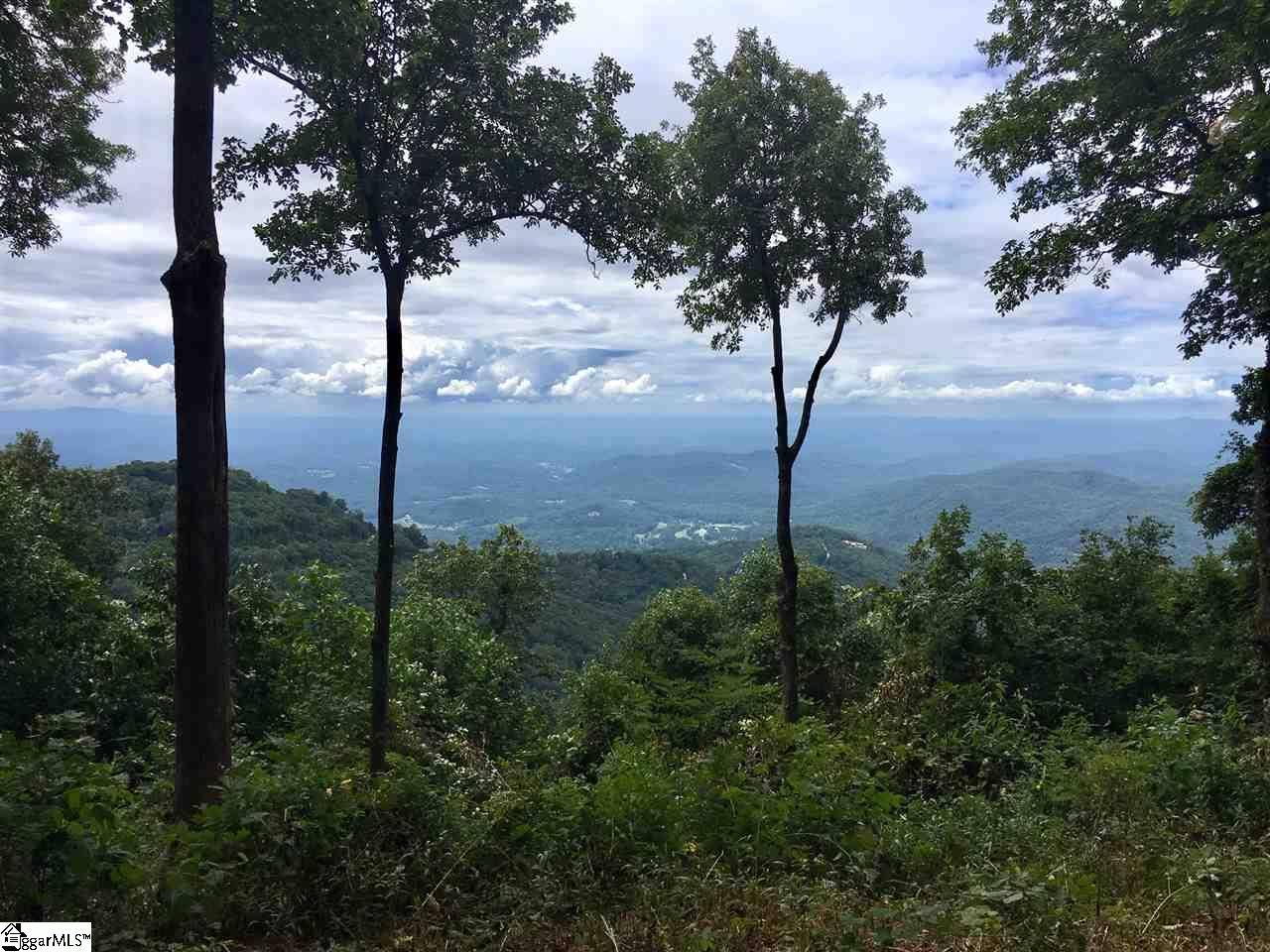 Zirconia, NC 28790,278 Bella Vista Court