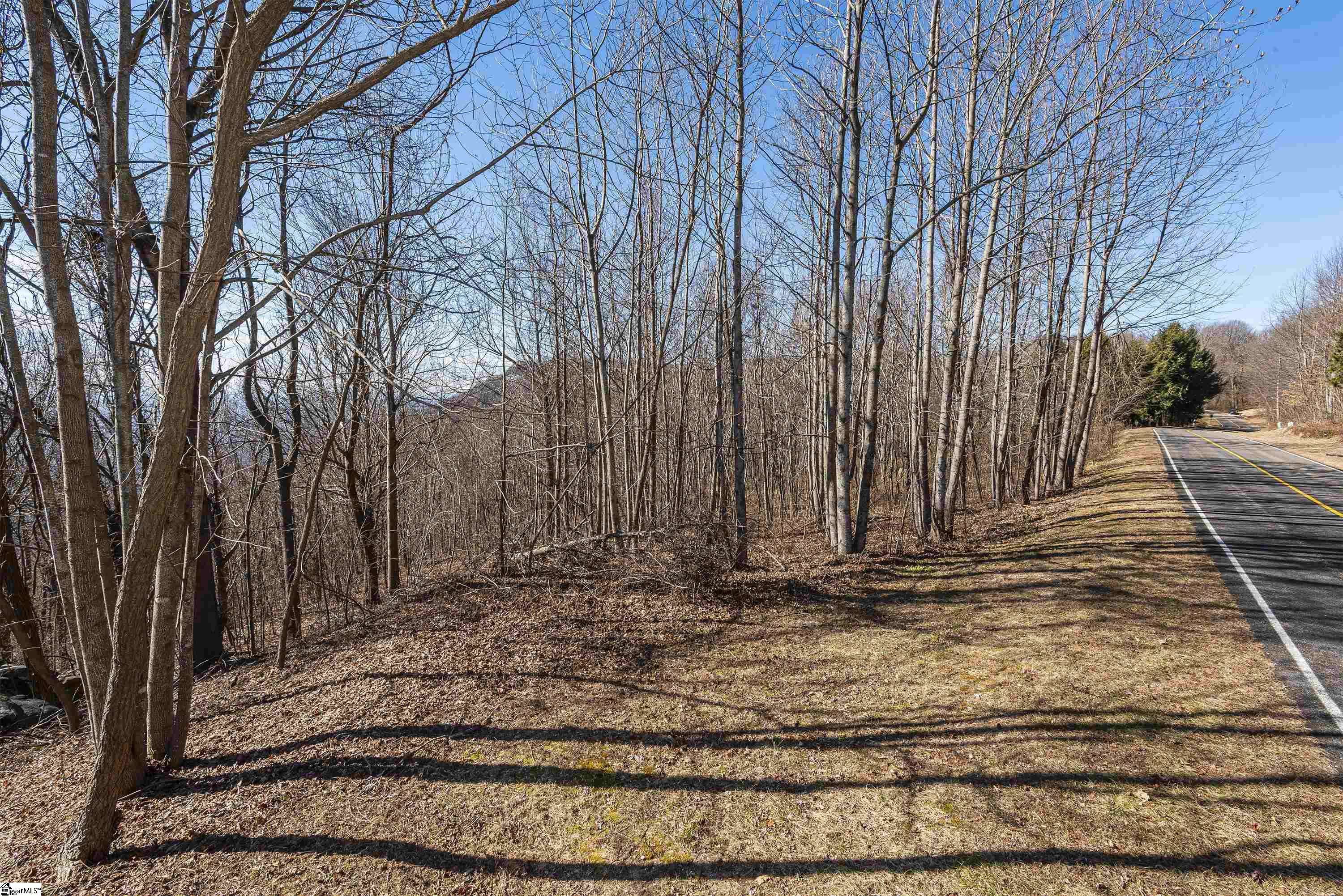 Landrum, SC 29356,116 May Apple Way
