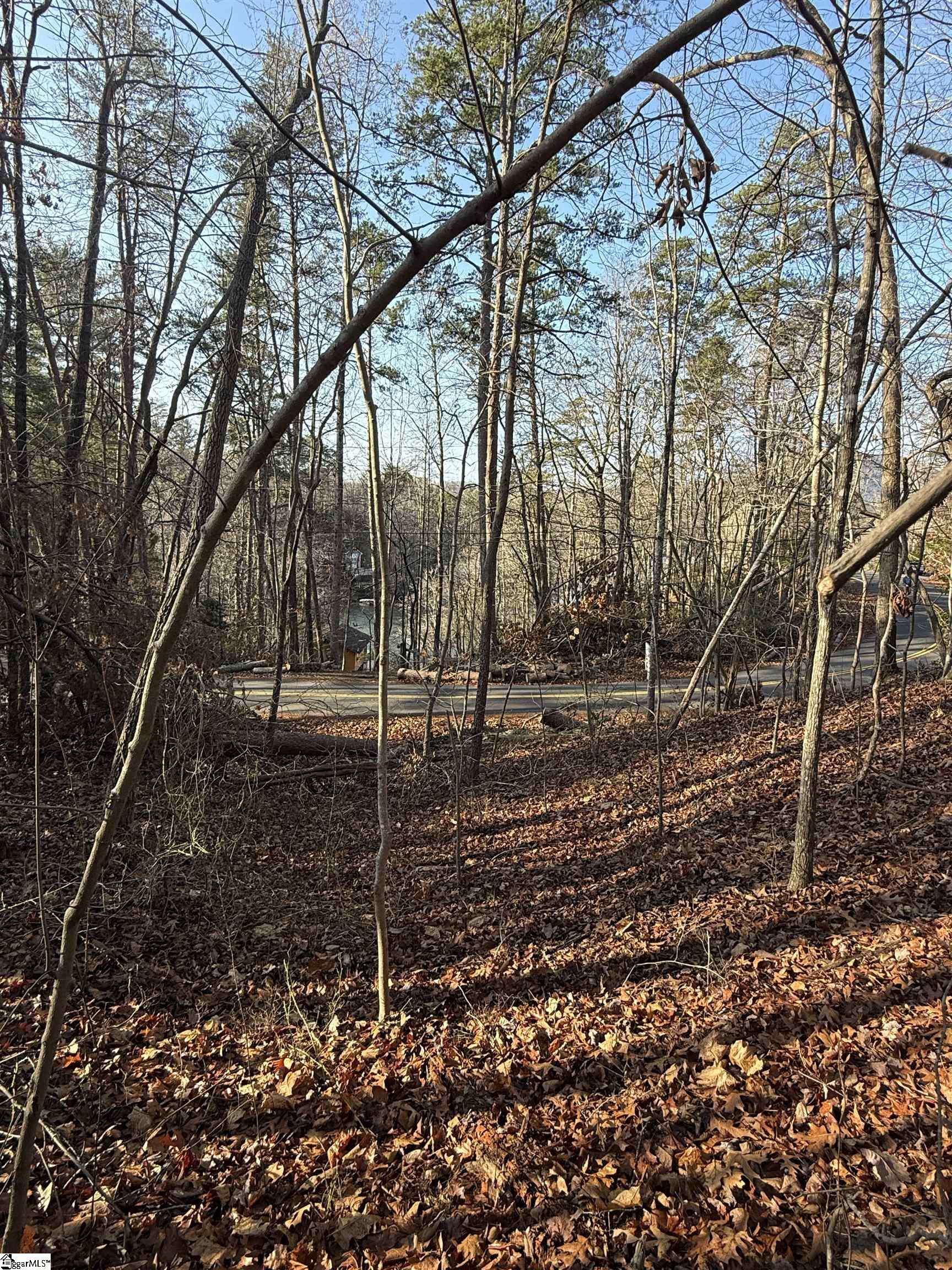 Landrum, SC 29356,0000 W Lakeshore Drive