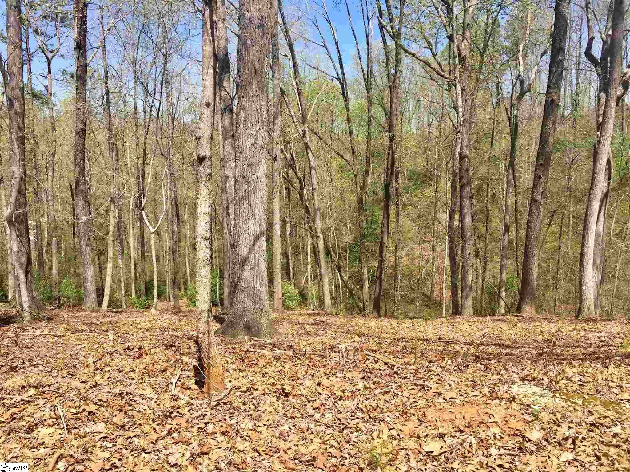 Travelers Rest, SC 29690,110 Black Knight Trail