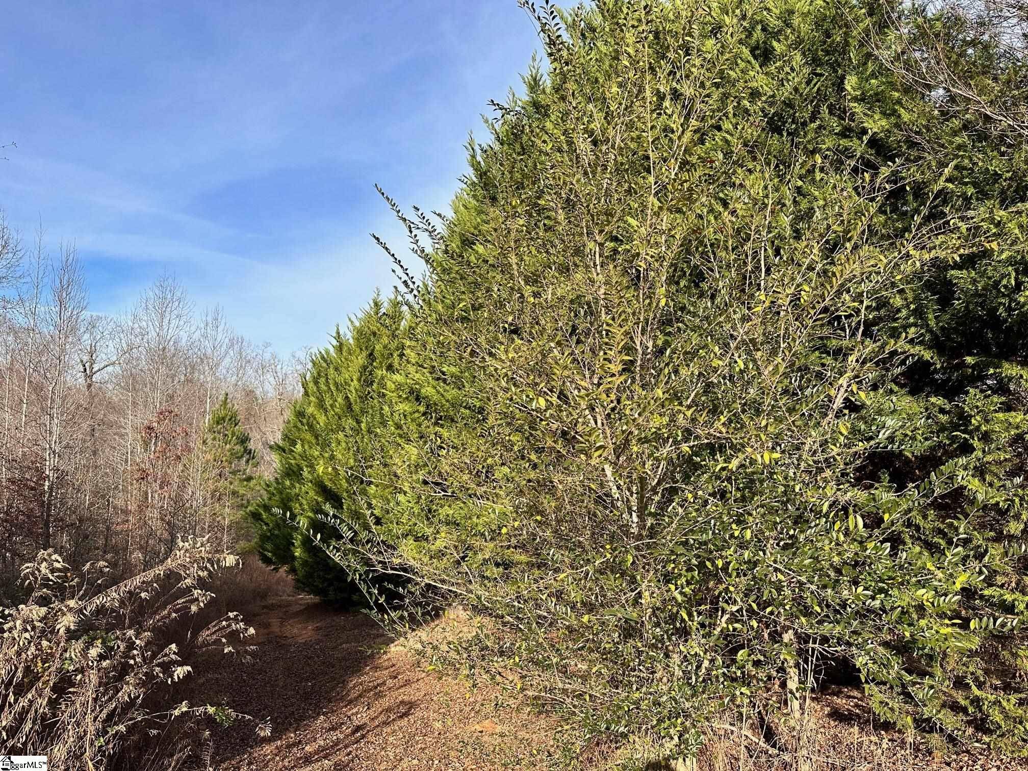 Fountain Inn, SC 29644,129 Karla Court