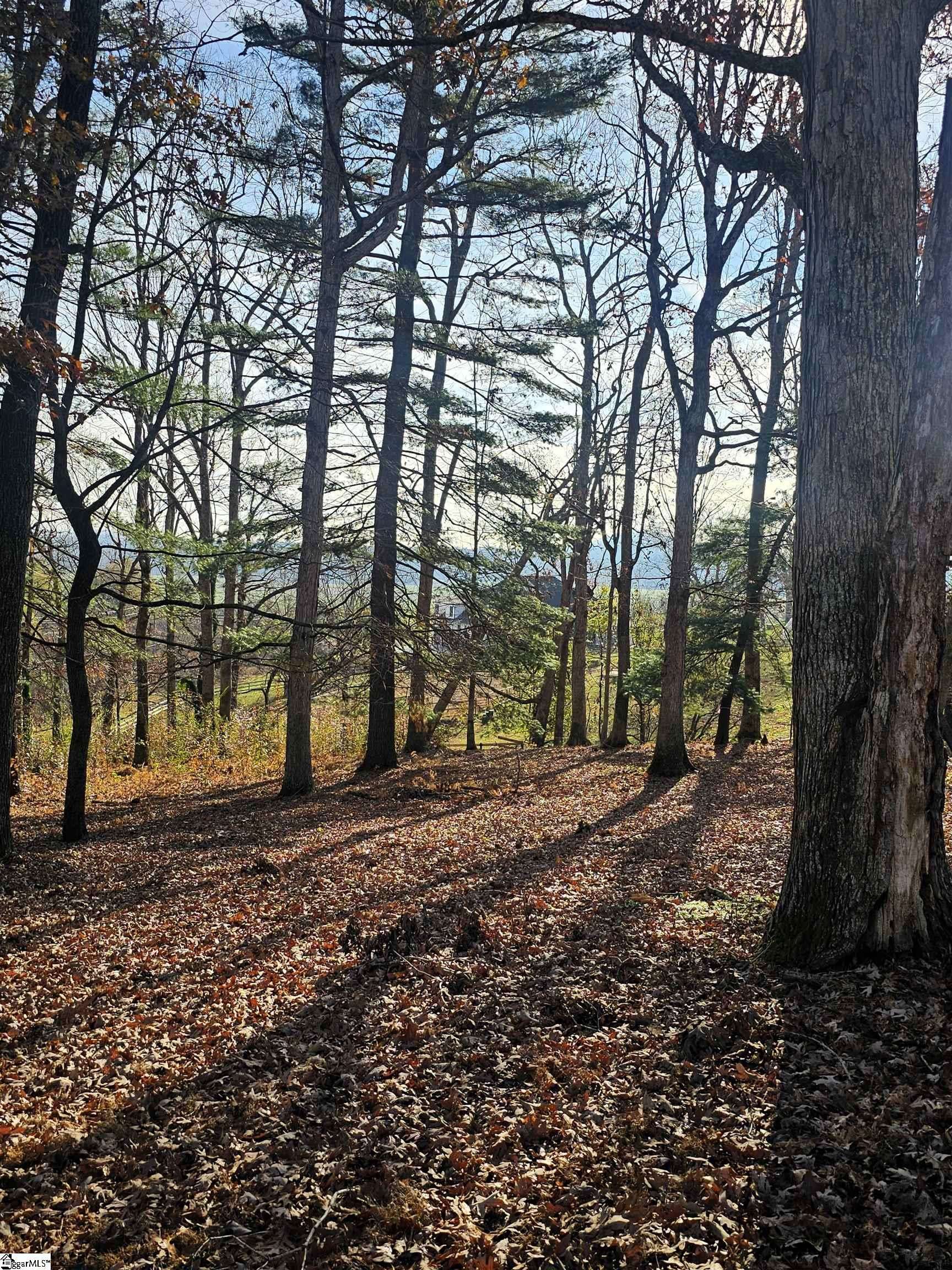 Mills River, NC 28759-0057,184 Majestic Ridge Road