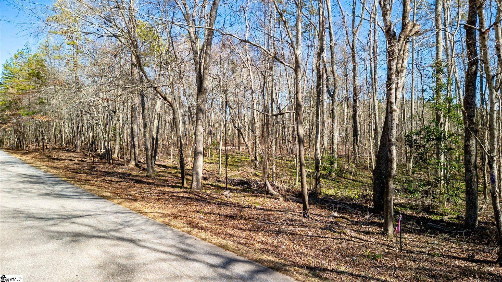 Pelzer, SC 29669,0000 Broken Arrow Drive