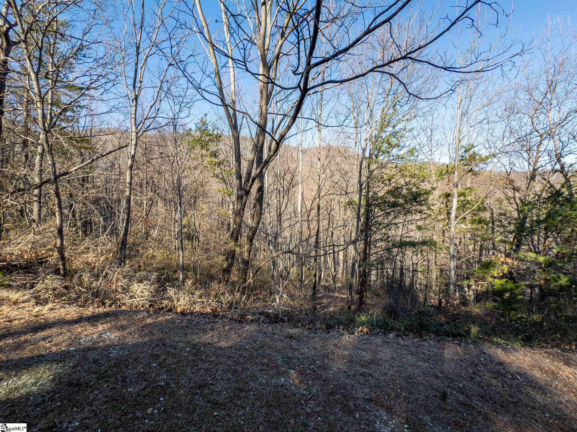 Landrum, SC 29356,327 Foggy Cut Lane