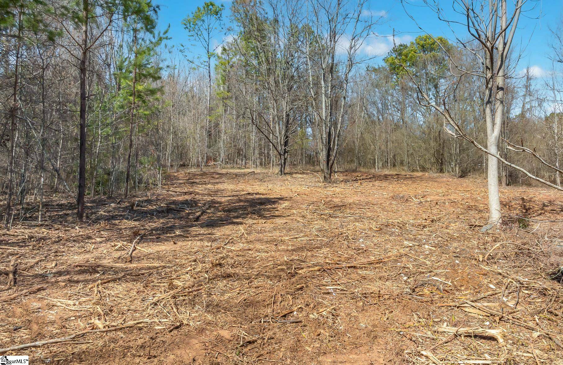 Taylors, SC 29687,00 W Tyger Bridge Road