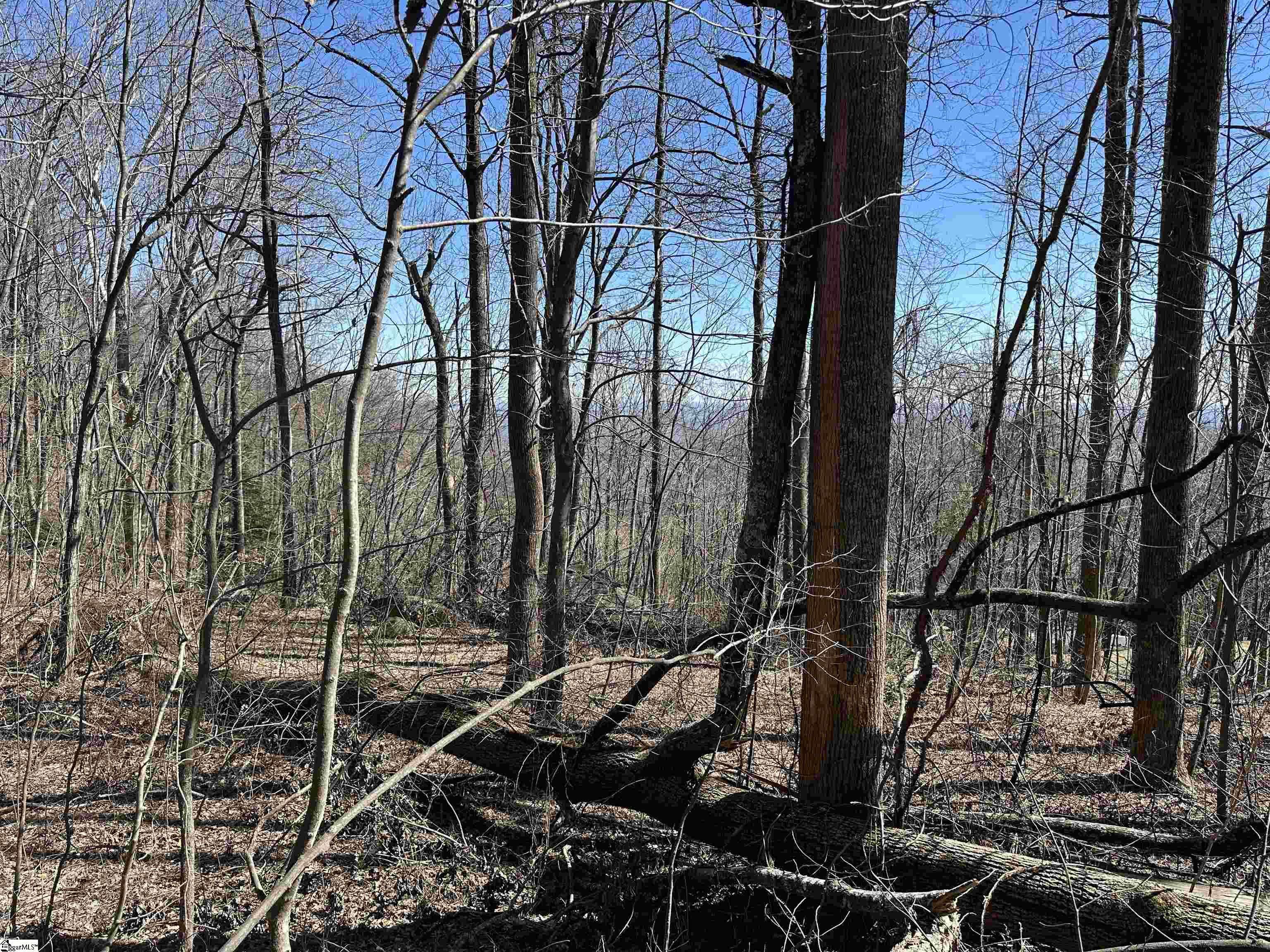 Landrum, SC 29356-3329,High Country Way