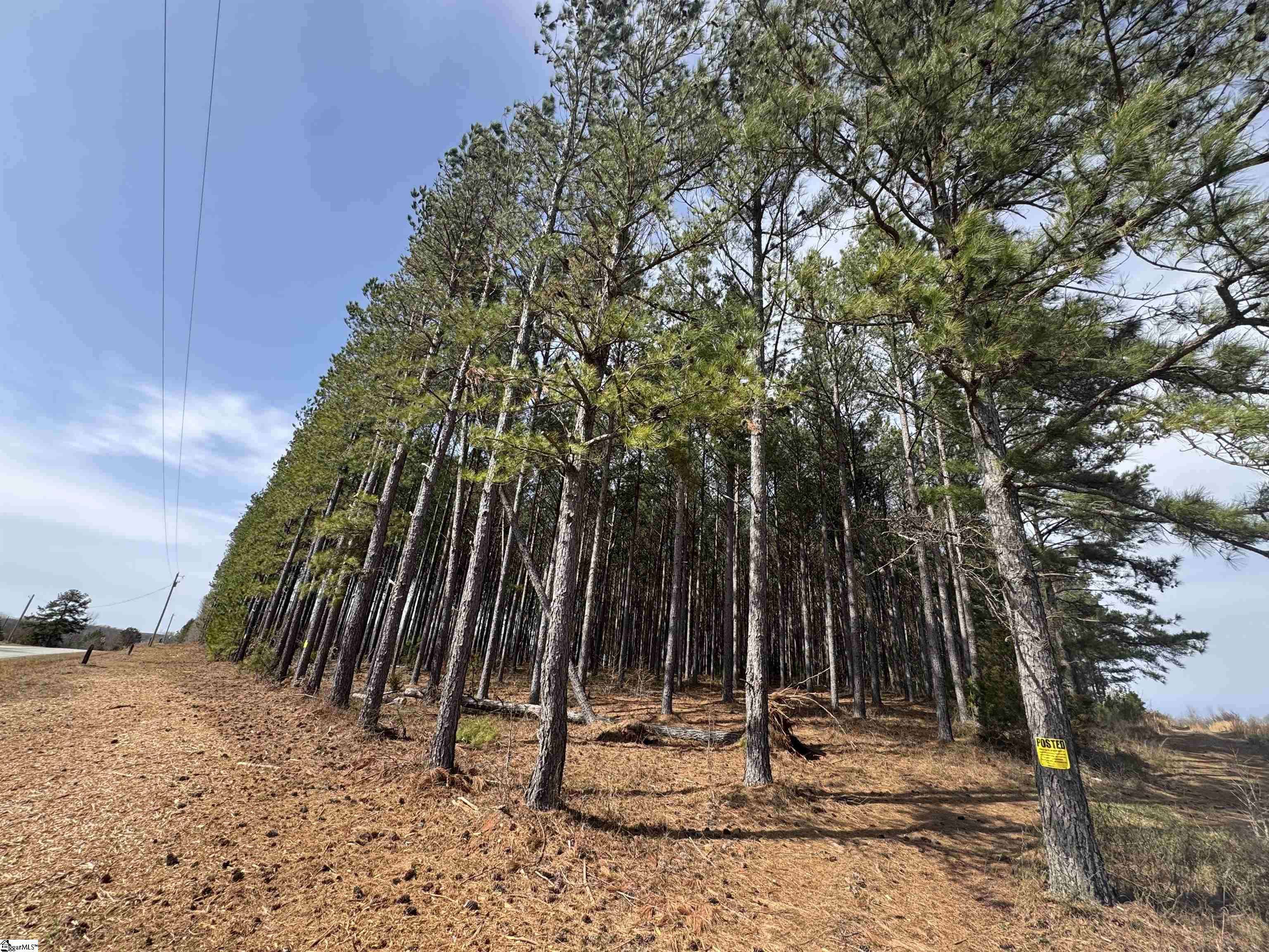 Gray Court, SC 29645,400 Bolt Road