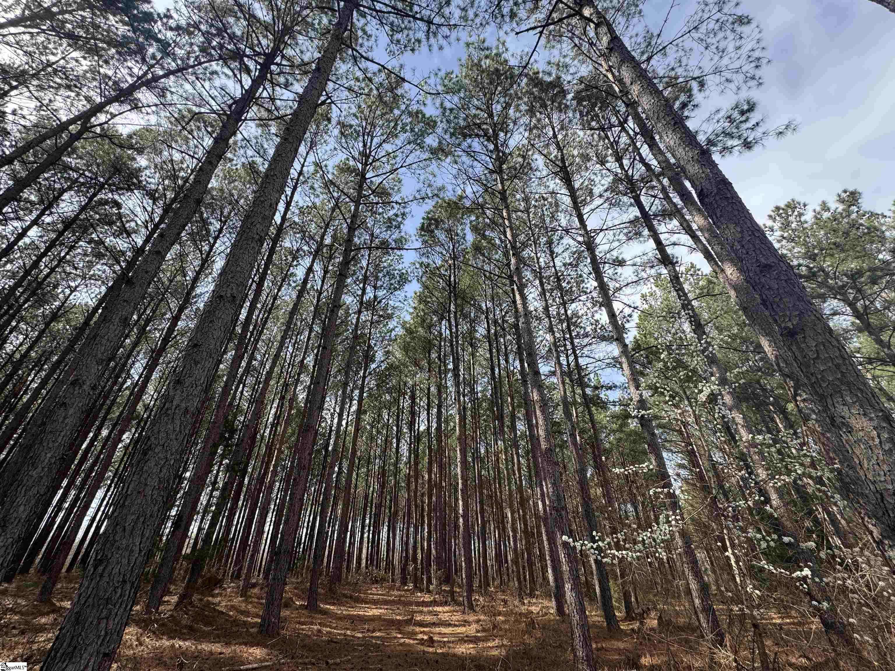 Gray Court, SC 29645,400 Bolt Road
