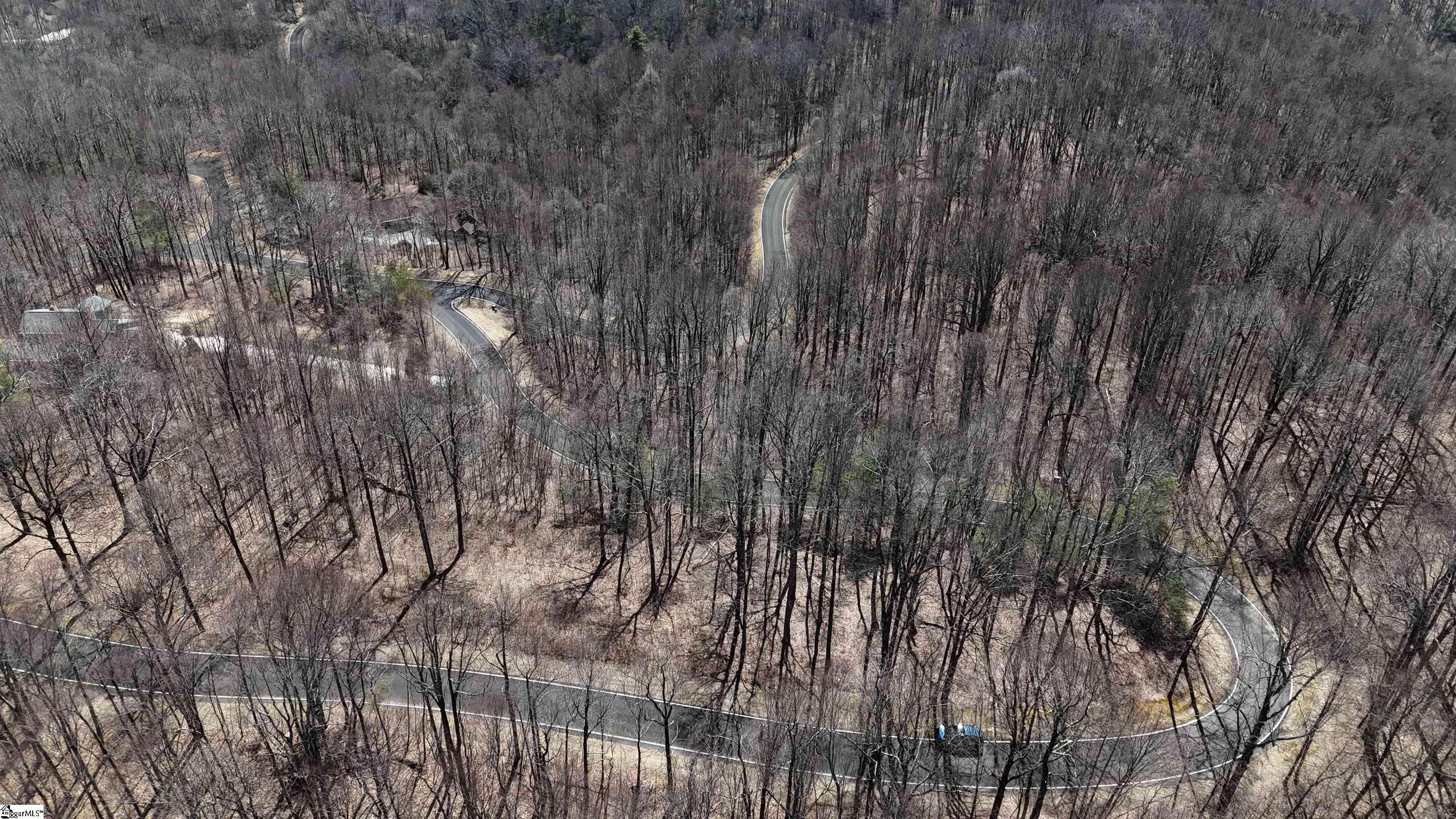 Landrum, SC 29356,00 Wild Ginger Road