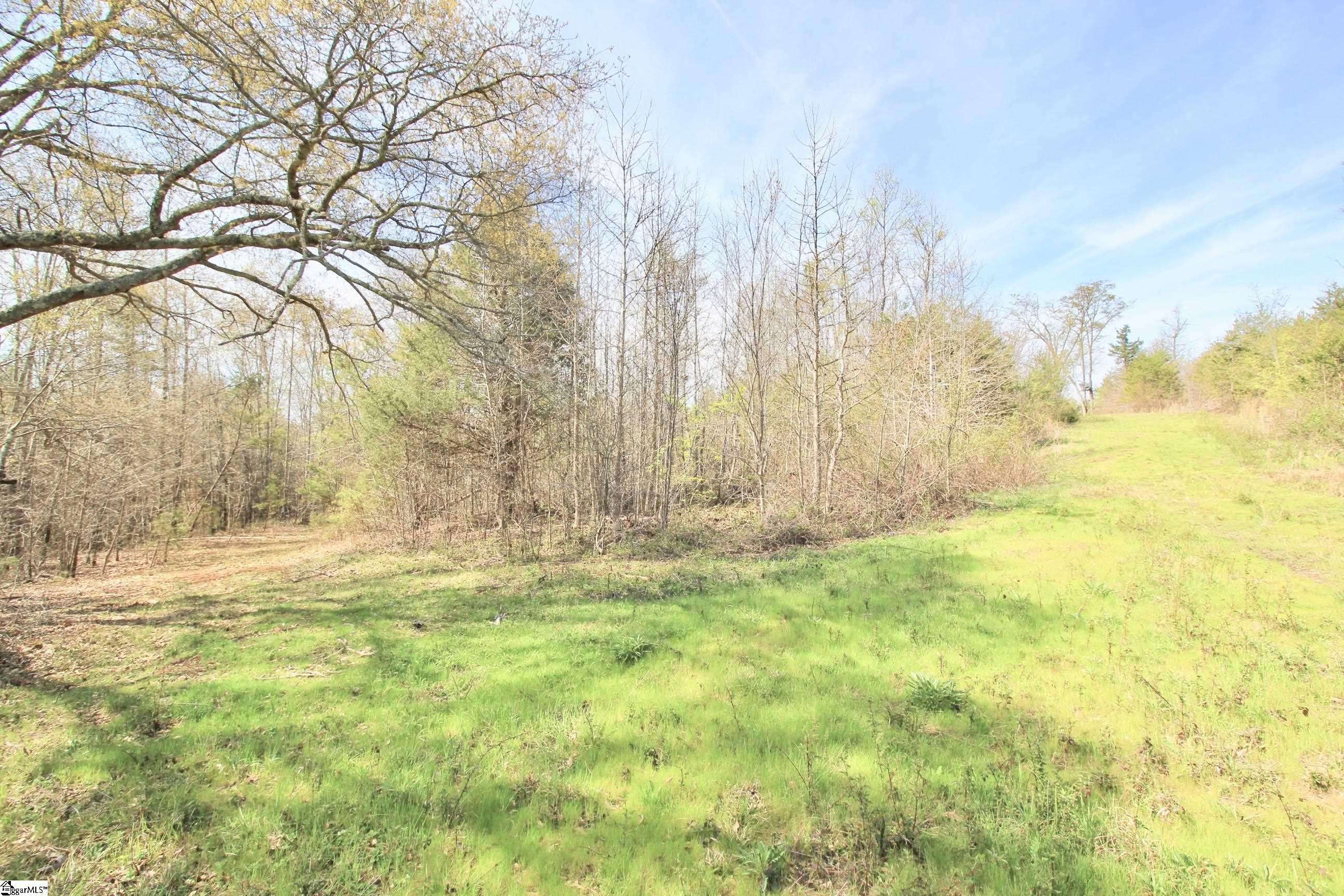 Chesnee, SC 29323,390 Old Mill Road