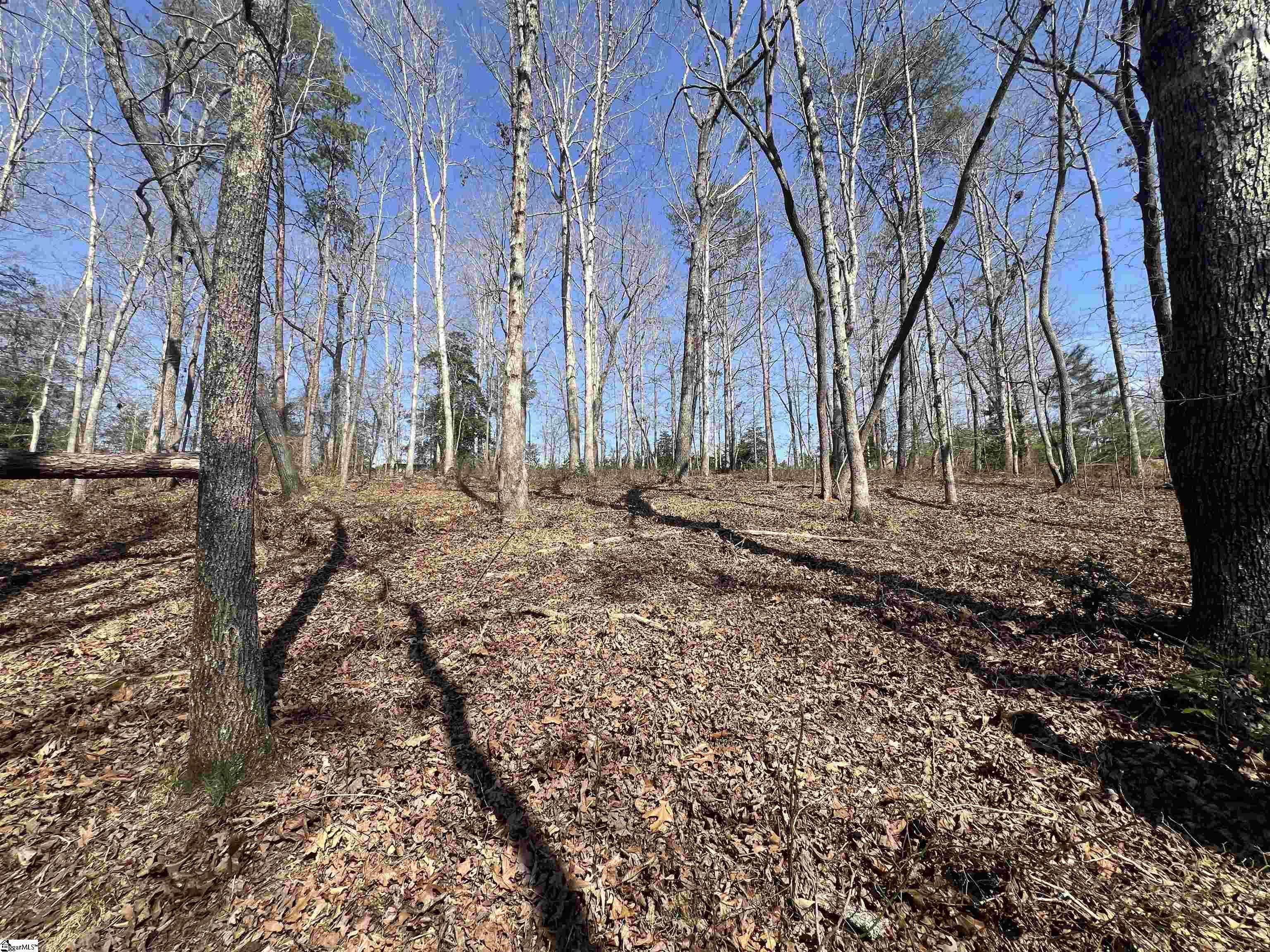 Chesnee, SC 29323,385 Country Oak Road
