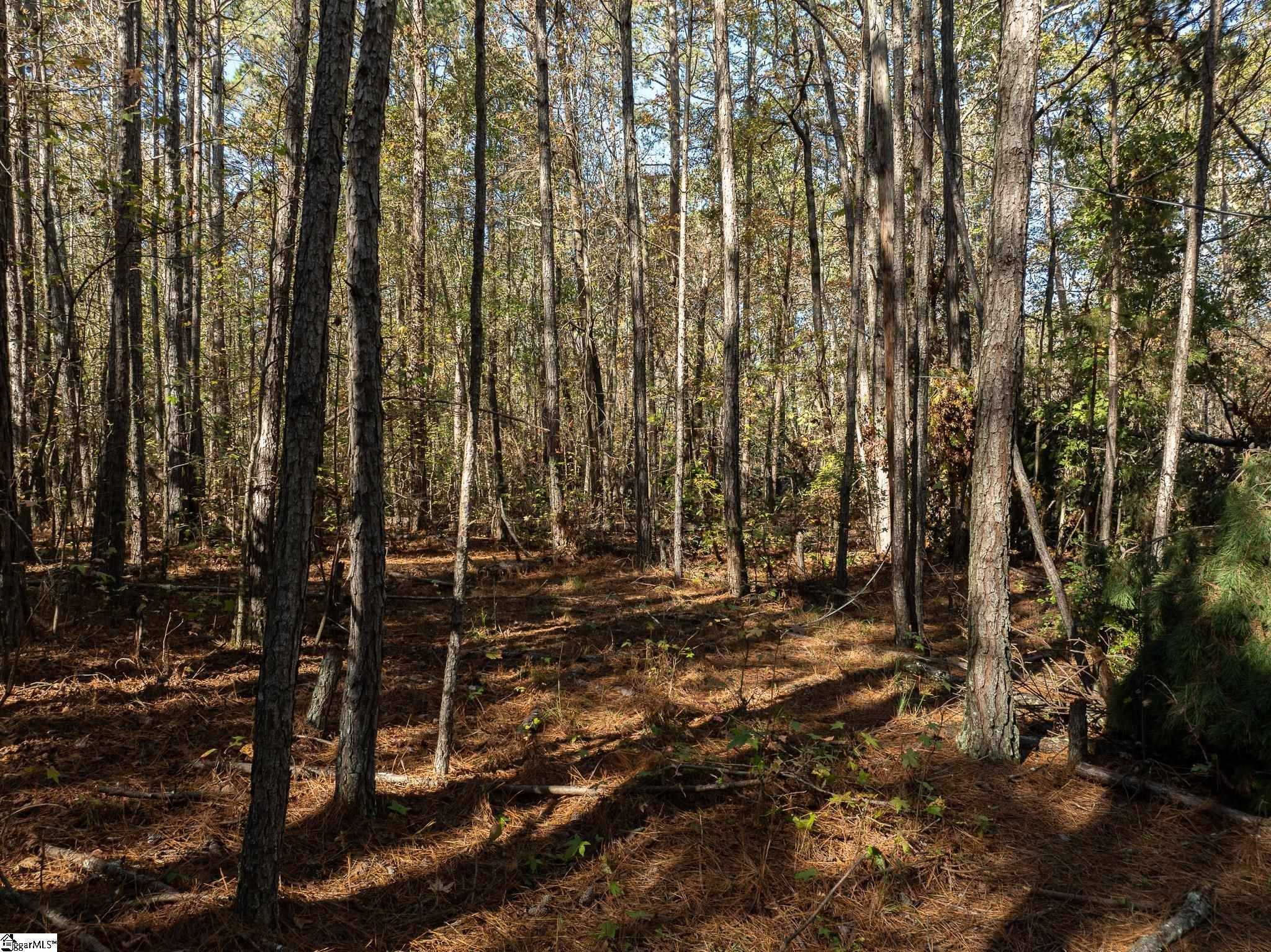 Belton, SC 29627,01 Simpson Road