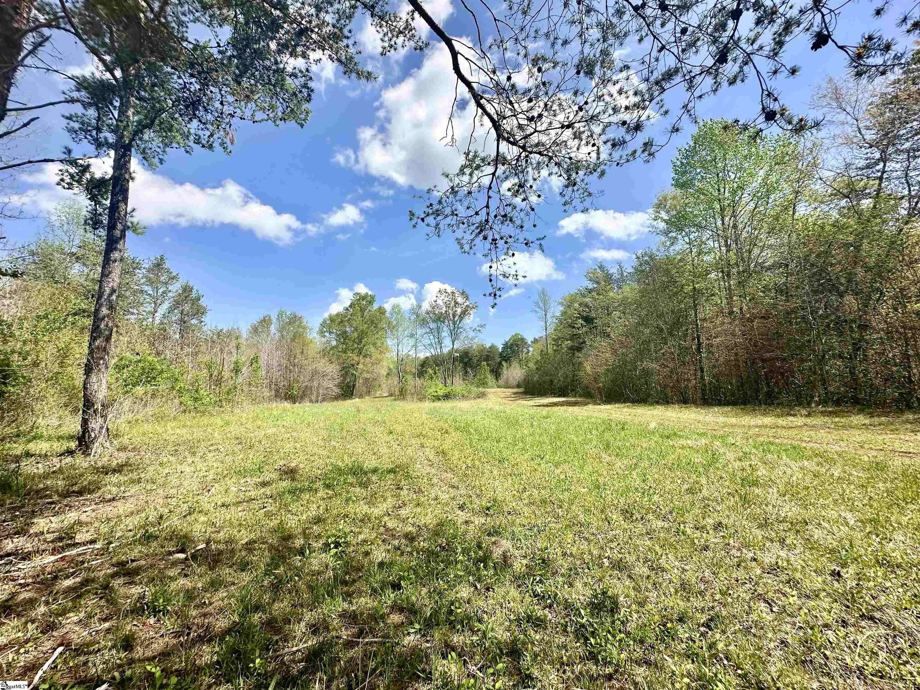 Chesnee, SC 29323,390 Old Mill Road