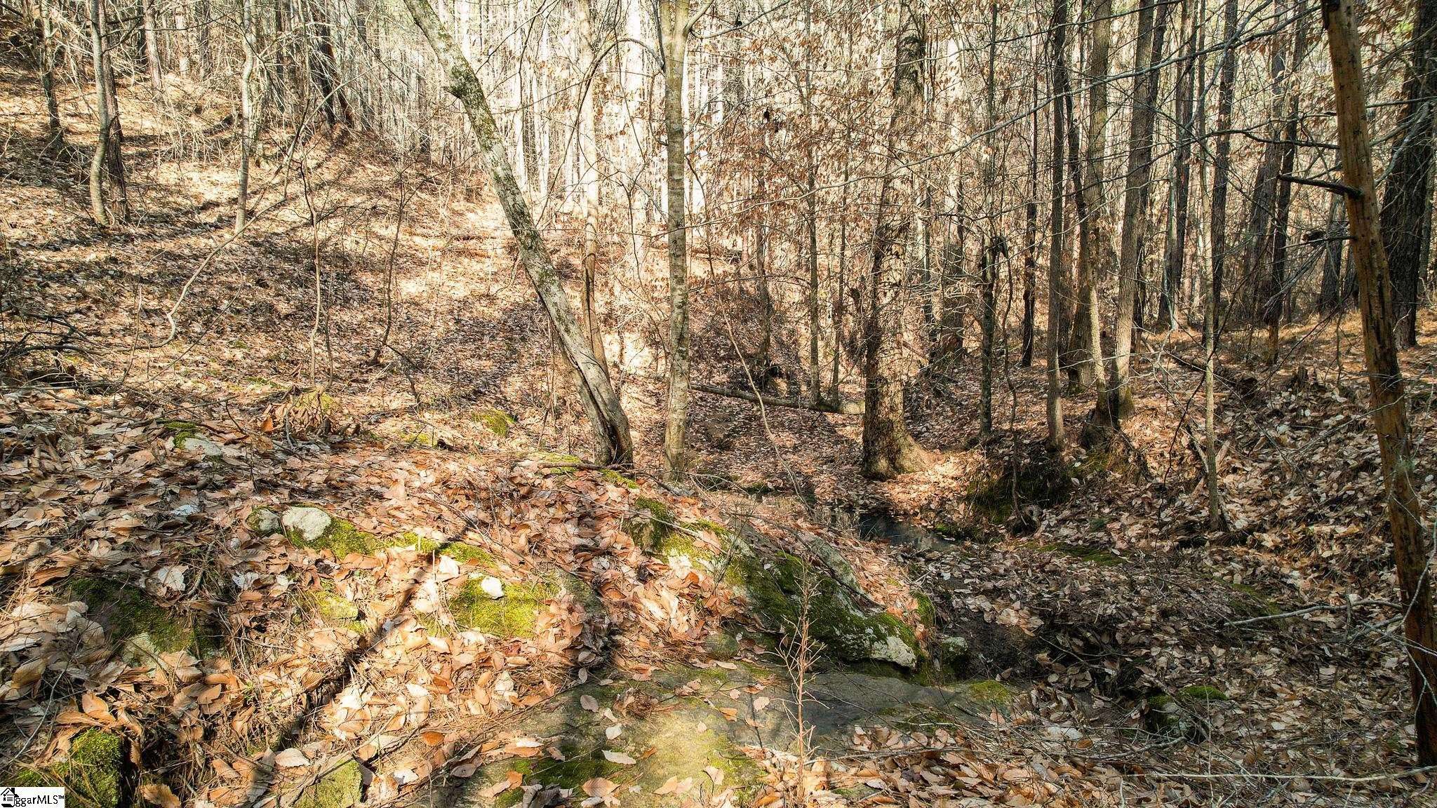 Union, SC 29379,07 Neal Shoals Road