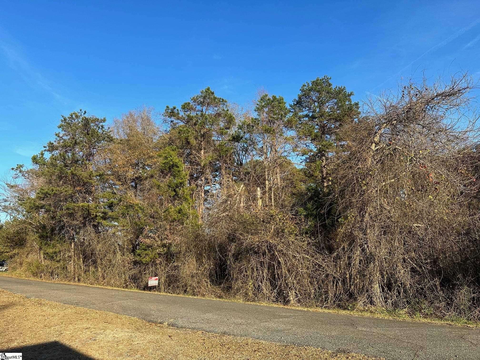 Chesnee, SC 29323,0 Blue Bird Hill Drive