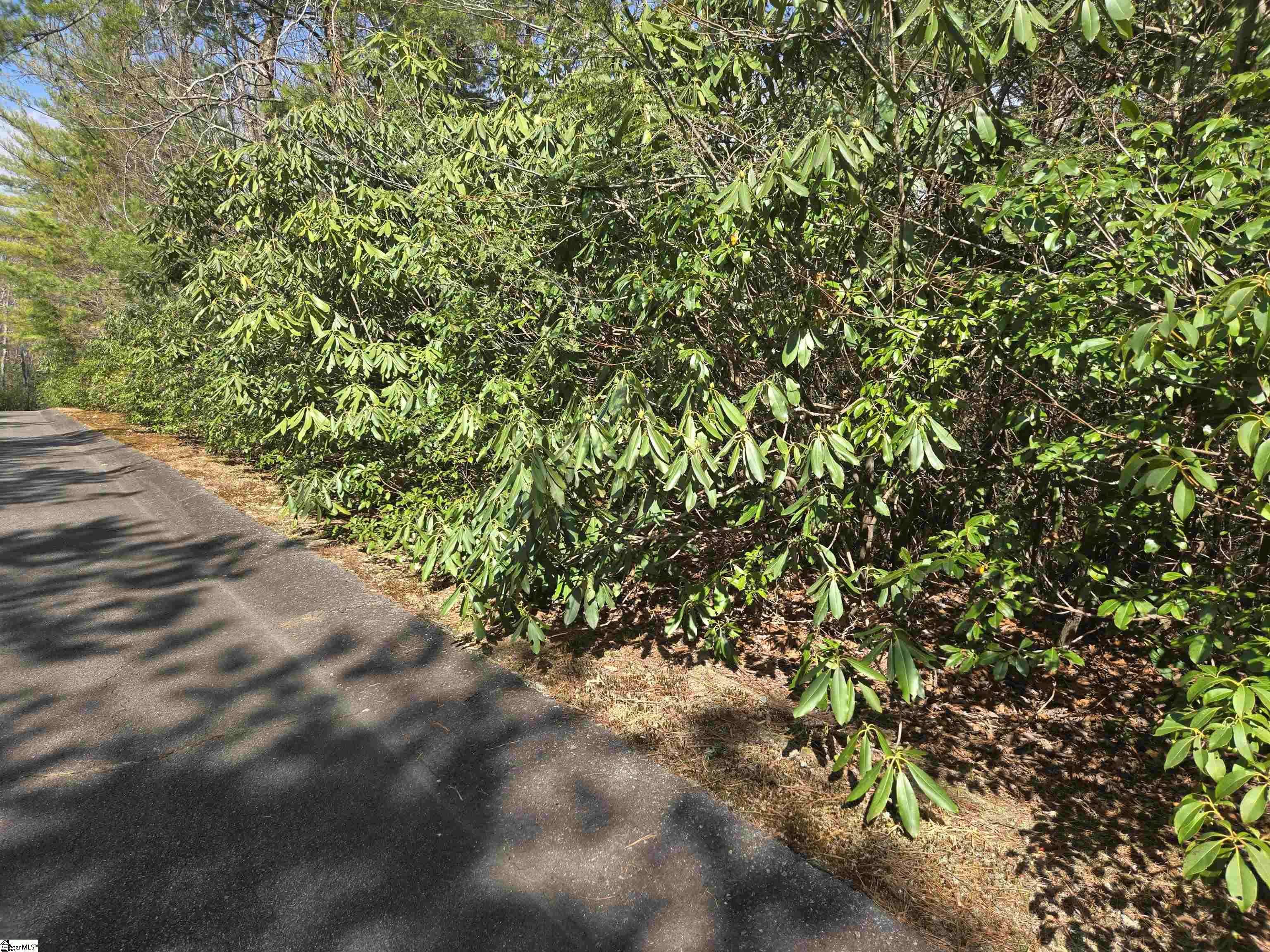 Cleveland, SC 29635,17 Cliff Ridge Drive