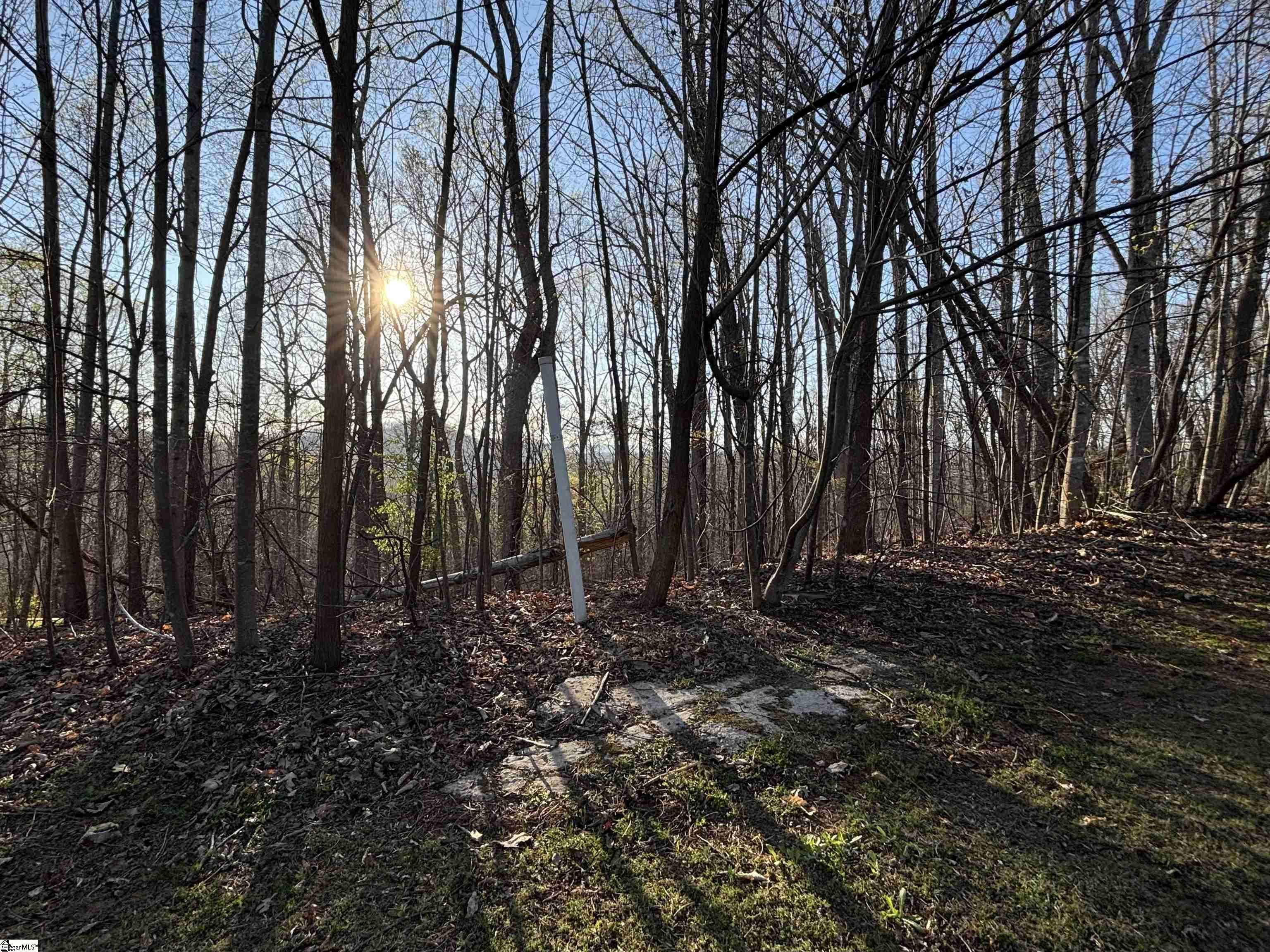 Travelers Rest, SC 29690,14 Valley Crest Court