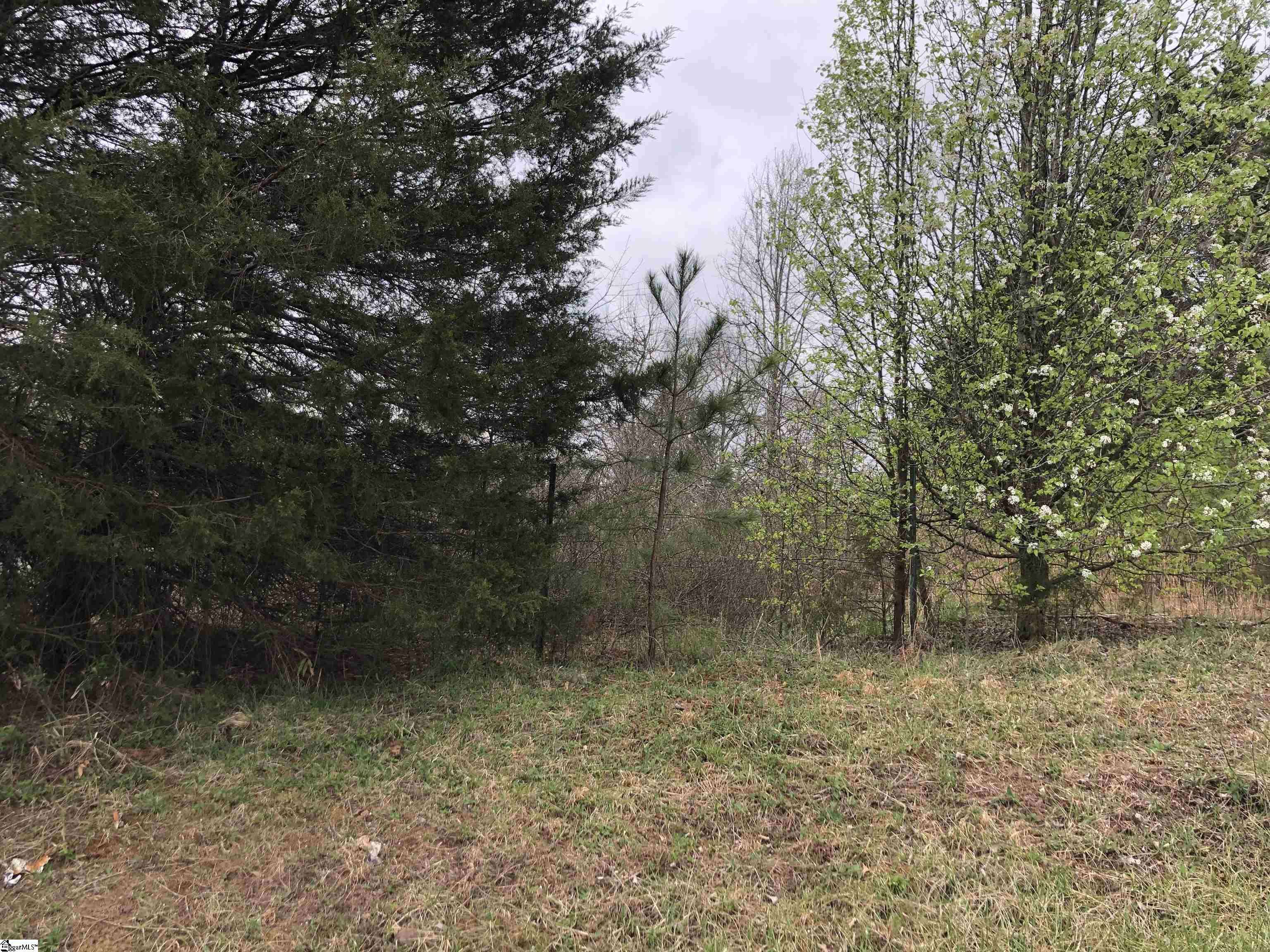 Cowpens, SC 29330,0 Jamyn Court