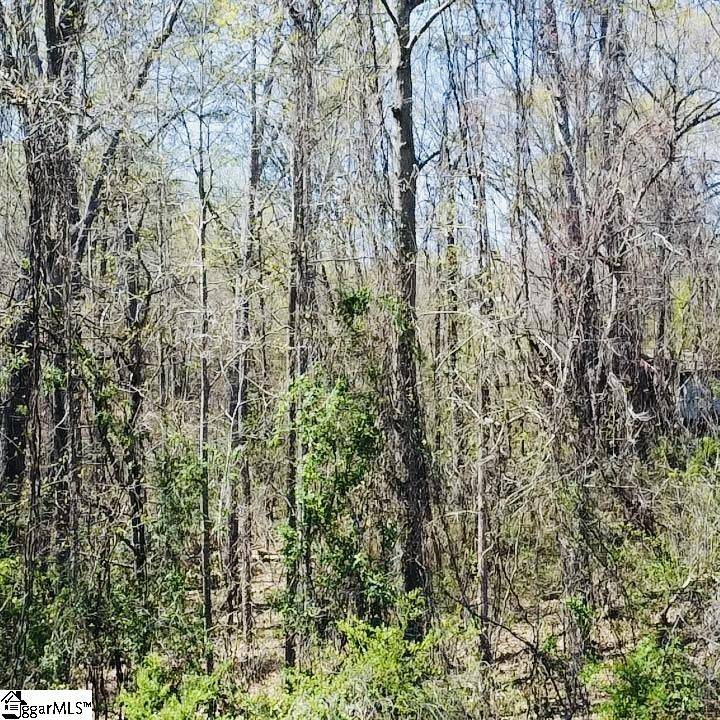 Liberty, SC 29657,0 Old School House Road