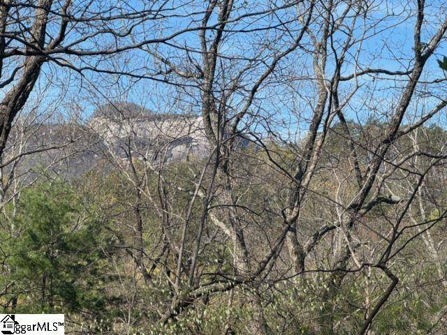 Cleveland, SC 29635,Ledge Road