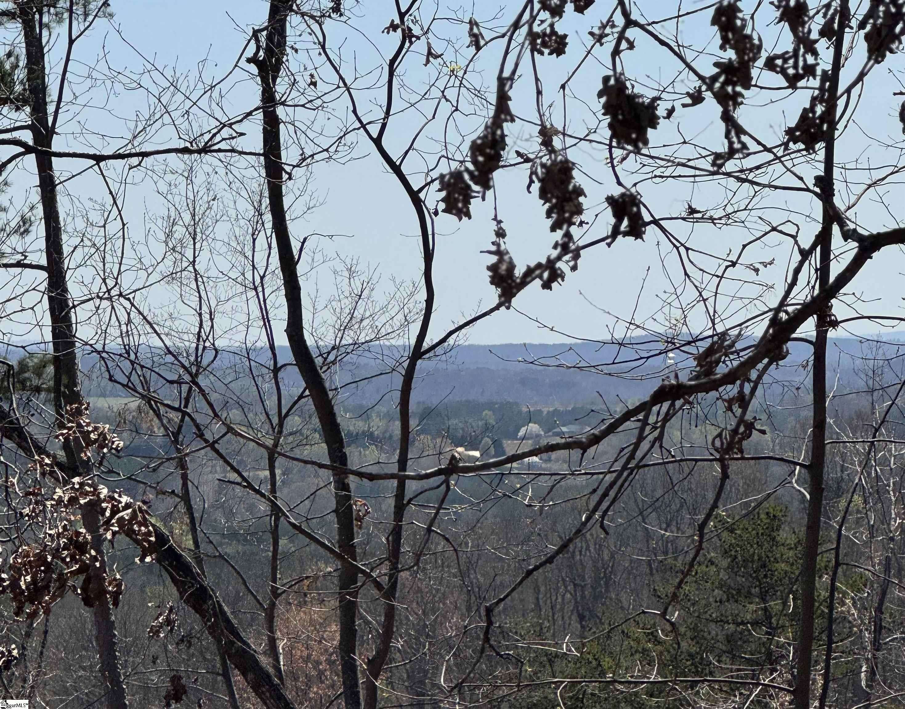 Landrum, SC 29356,0 Goforth Road