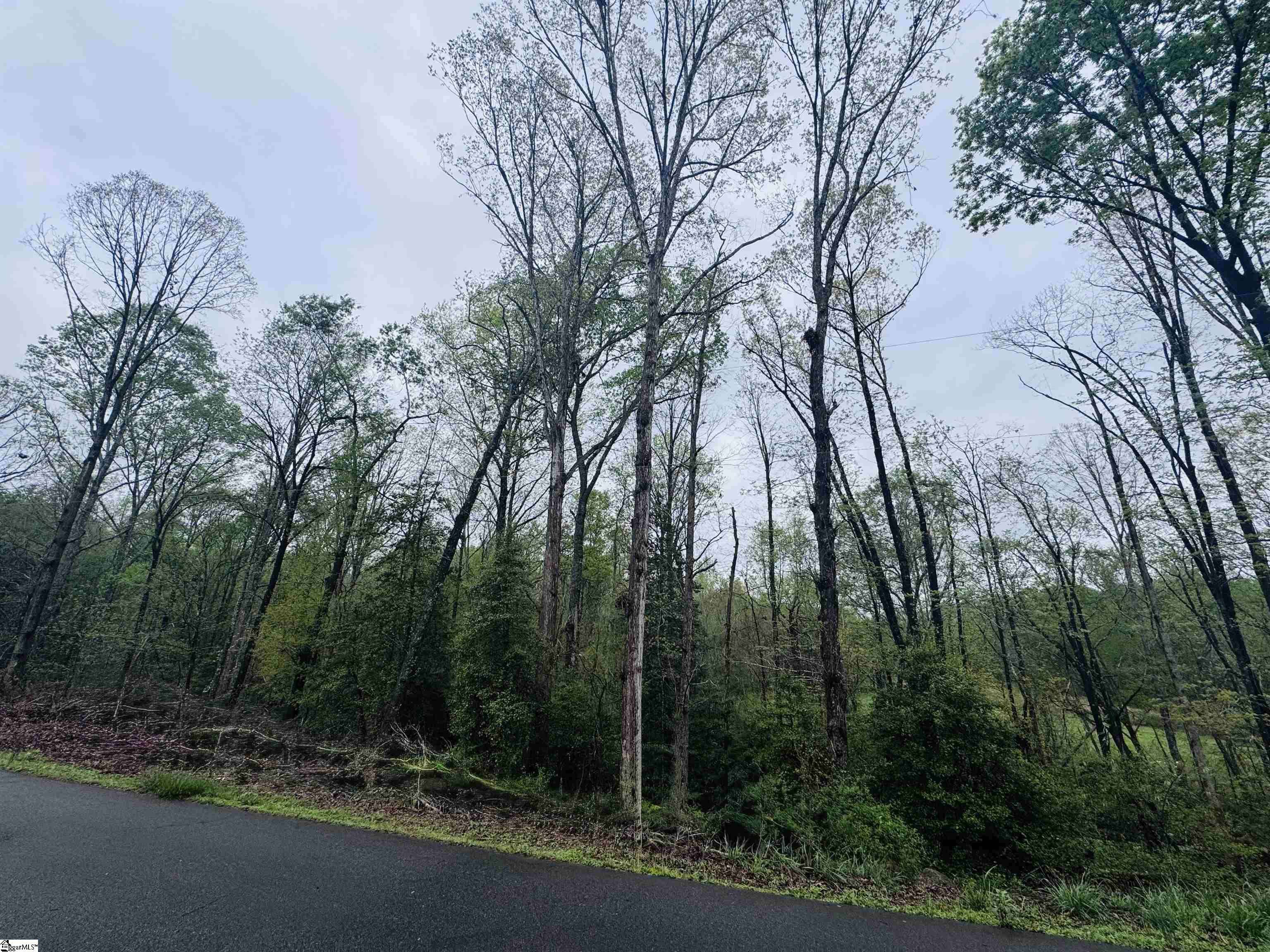 Pelzer, SC 29669,0 Country Glen Lane
