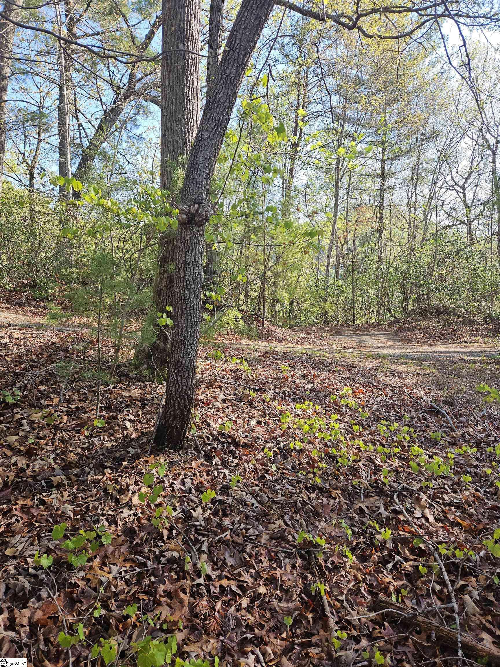 Pickens, SC 29671,139 Whispering Falls Drive