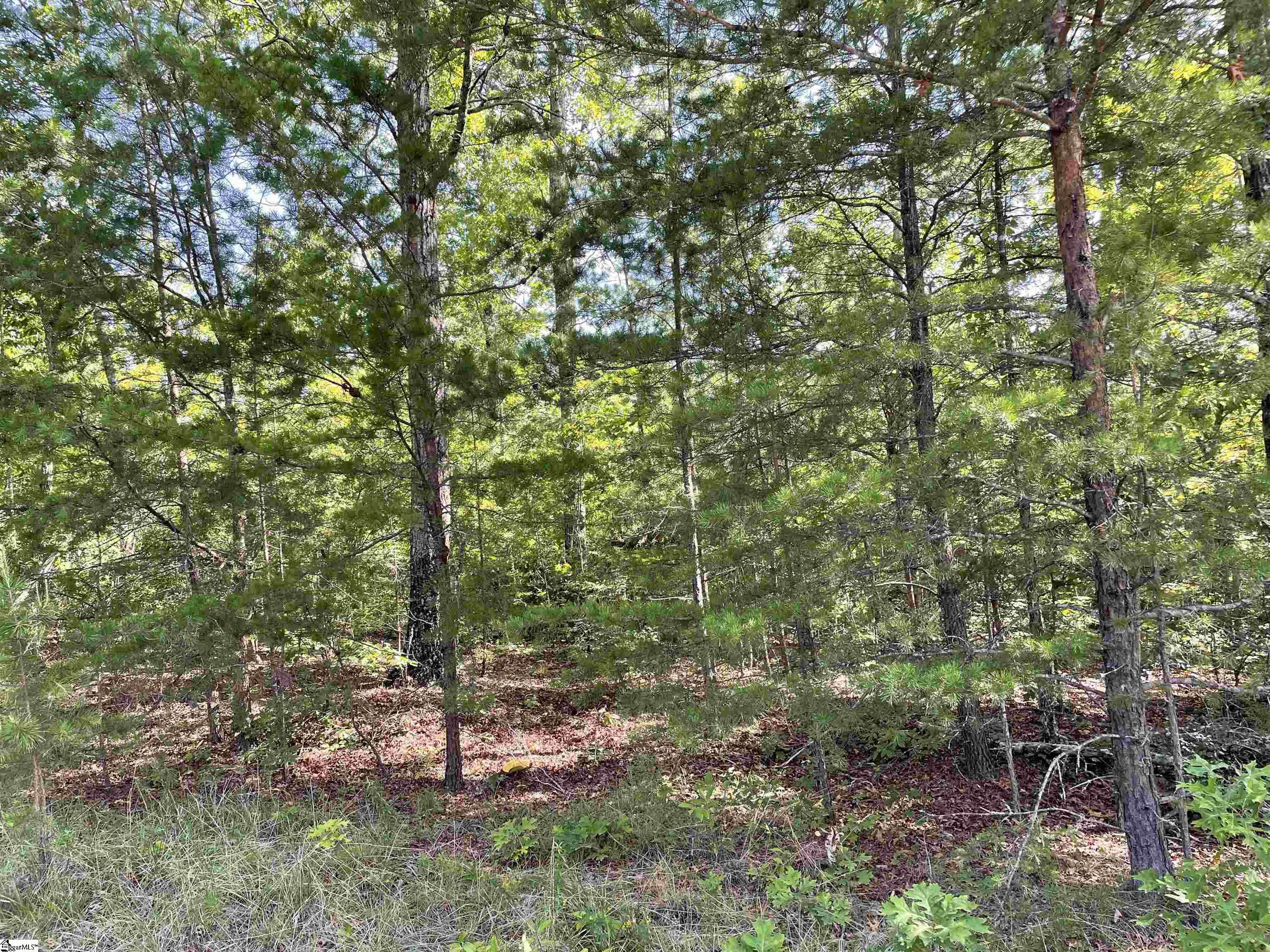 Tamassee, SC 29686,00 Whitewater Point Road