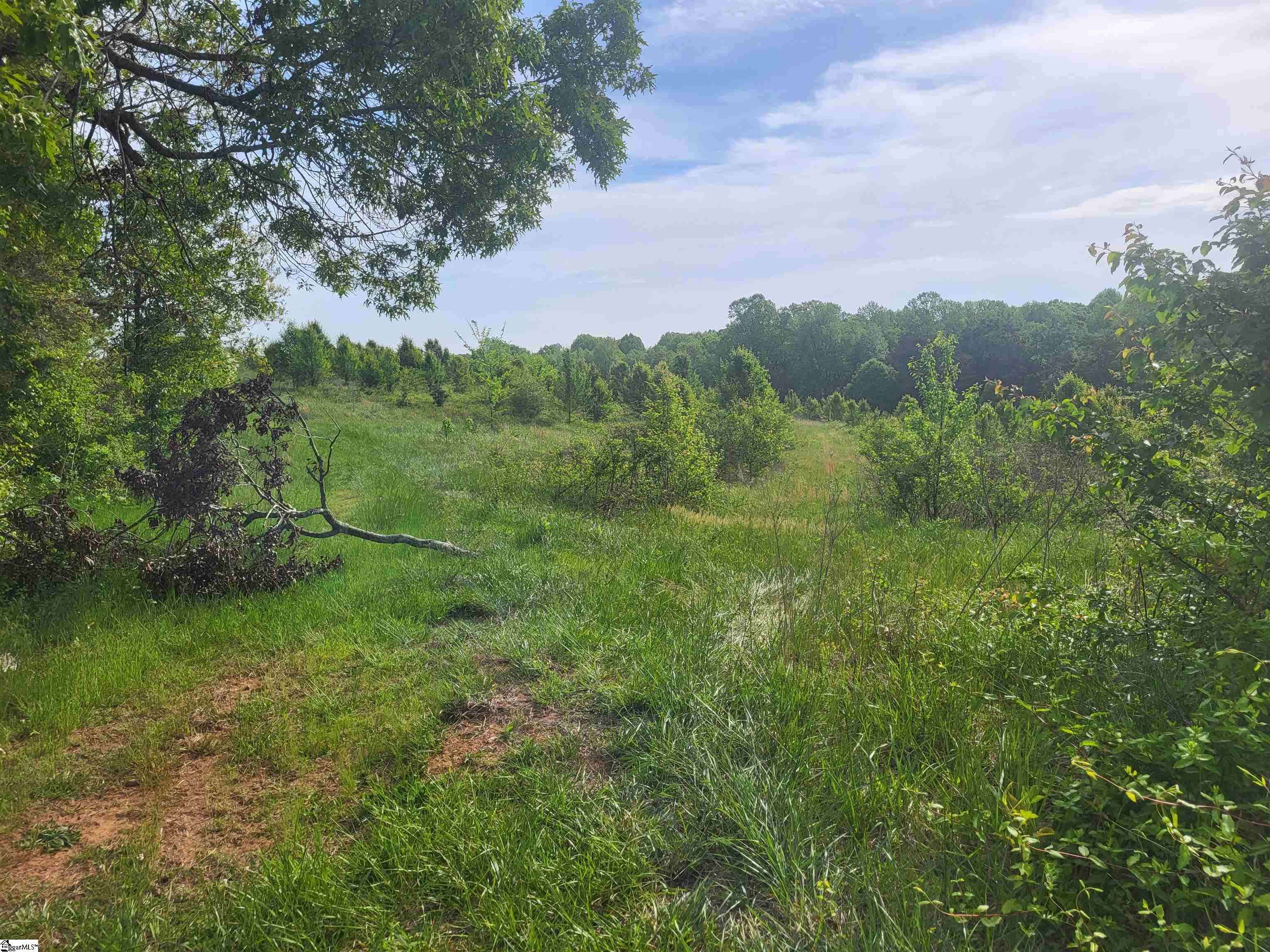 Greer, SC 29651,00 Babb Road