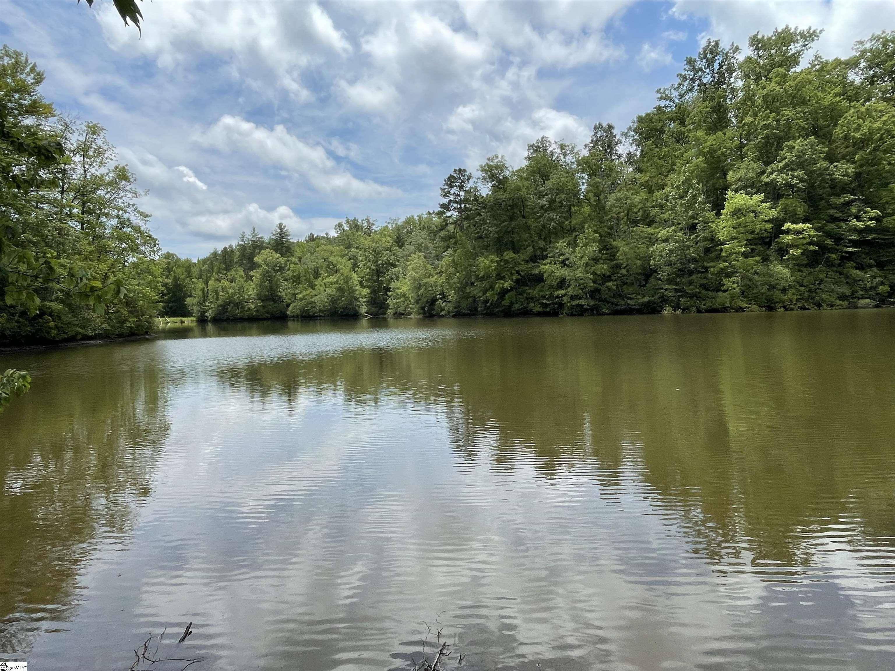 Tamassee, SC 29686,00 Easy Street