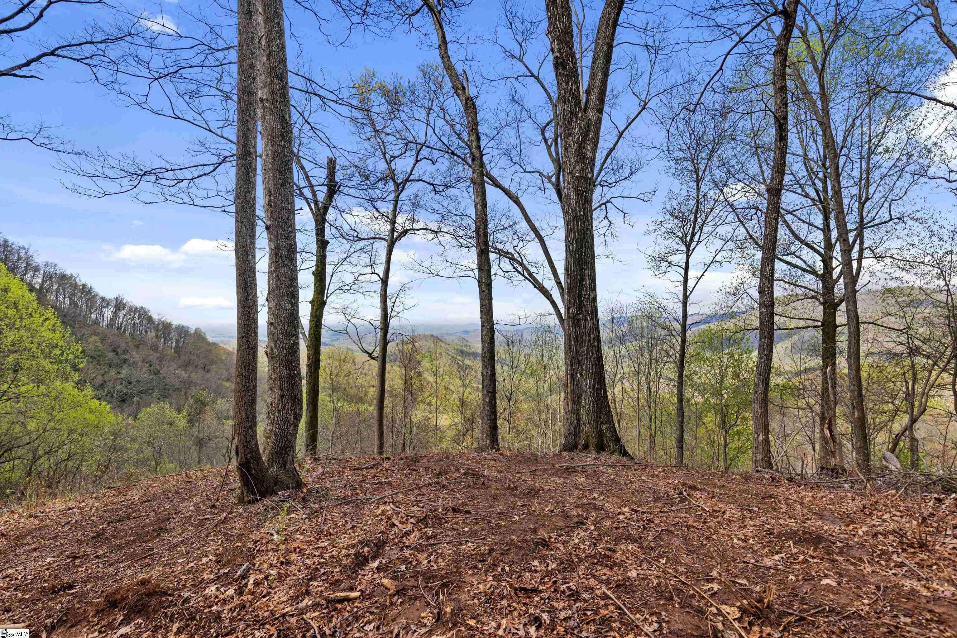 Travelers Rest, SC 29690,21 High Laurel Way
