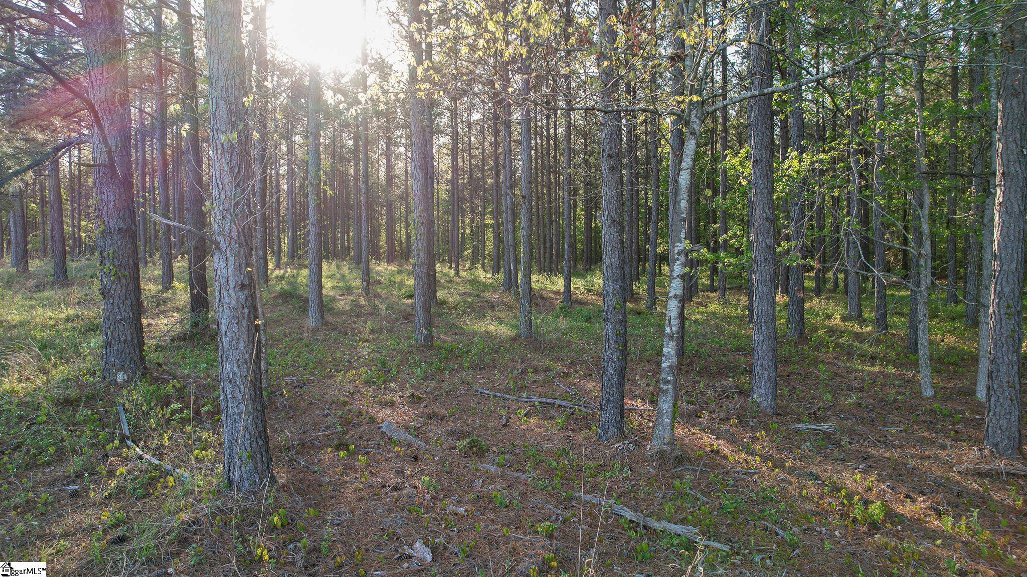 Mountville, SC 29370,013 Garlington Road