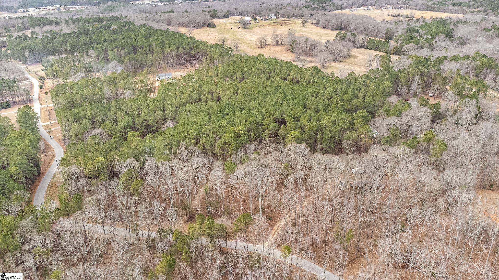 Gray Court, SC 29645,00 Lakeview Road