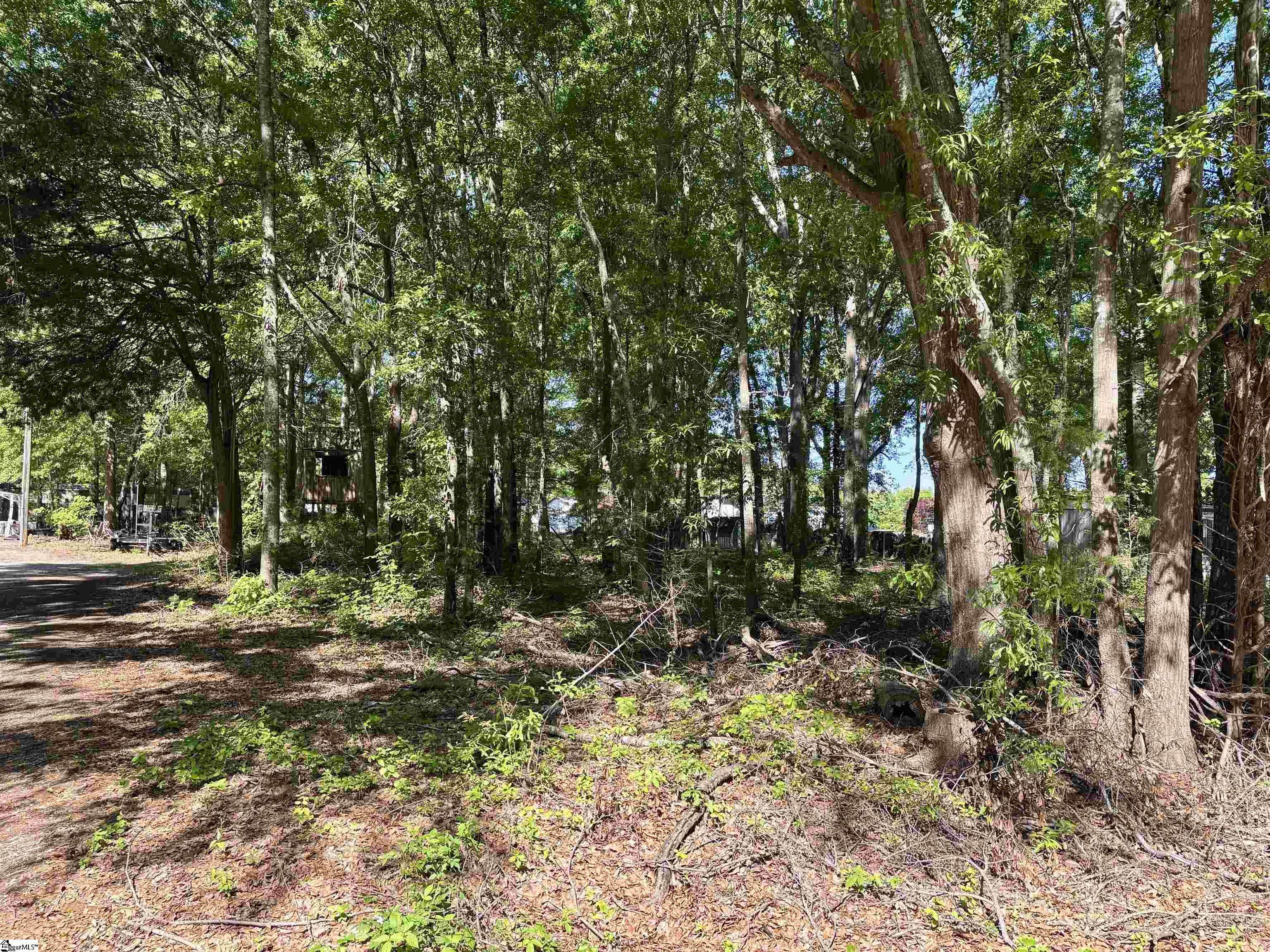Pelzer, SC 29669,00 Harrisburg Drive