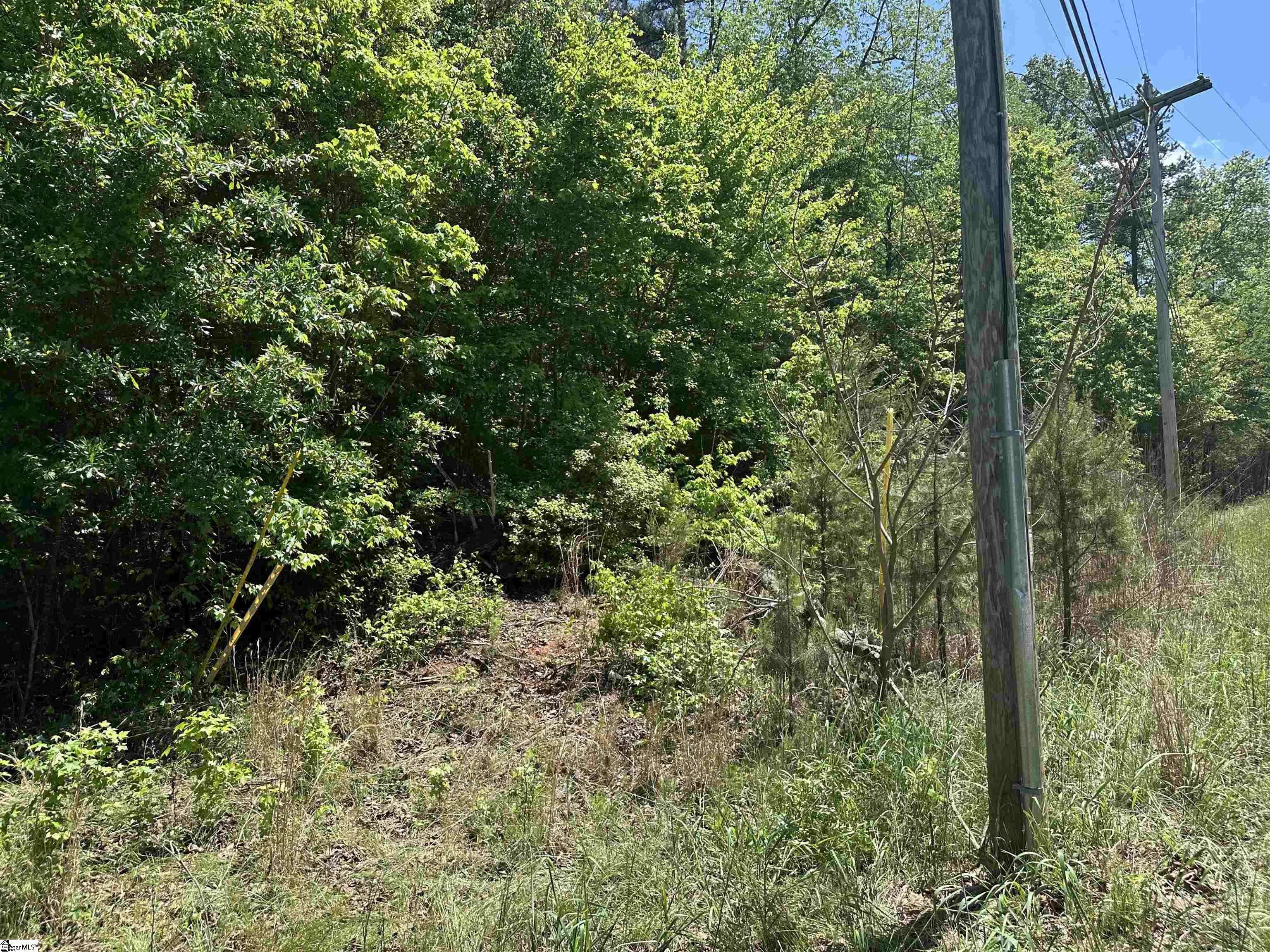 Spartanburg, SC 29307,1741 Old Pacolet Road