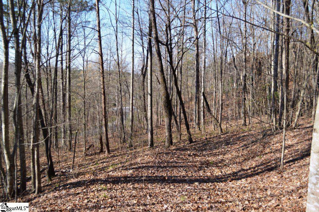 Marietta, SC 29661,Purple Finch Way