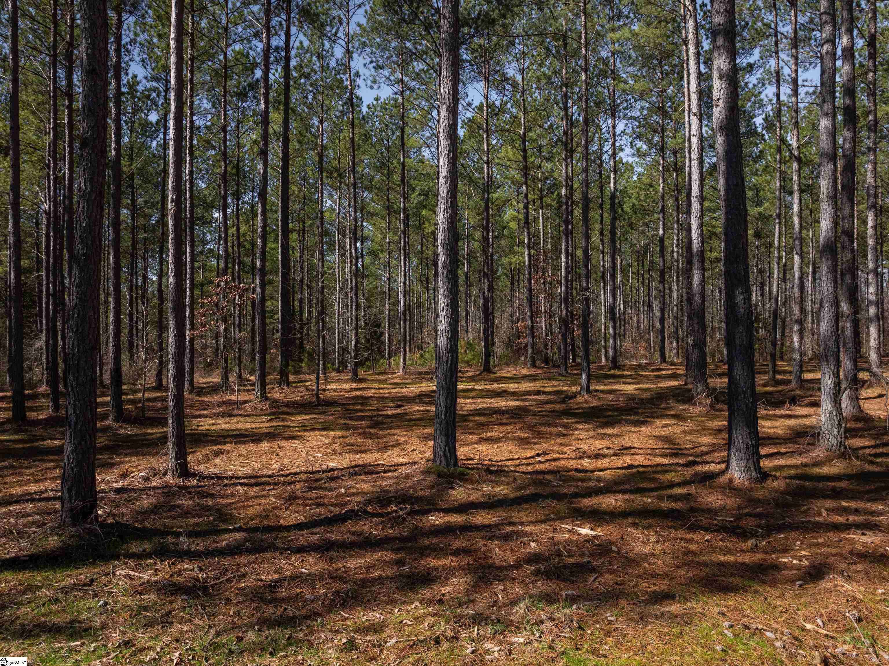 Liberty, SC 29657,002A Simms Mill Road